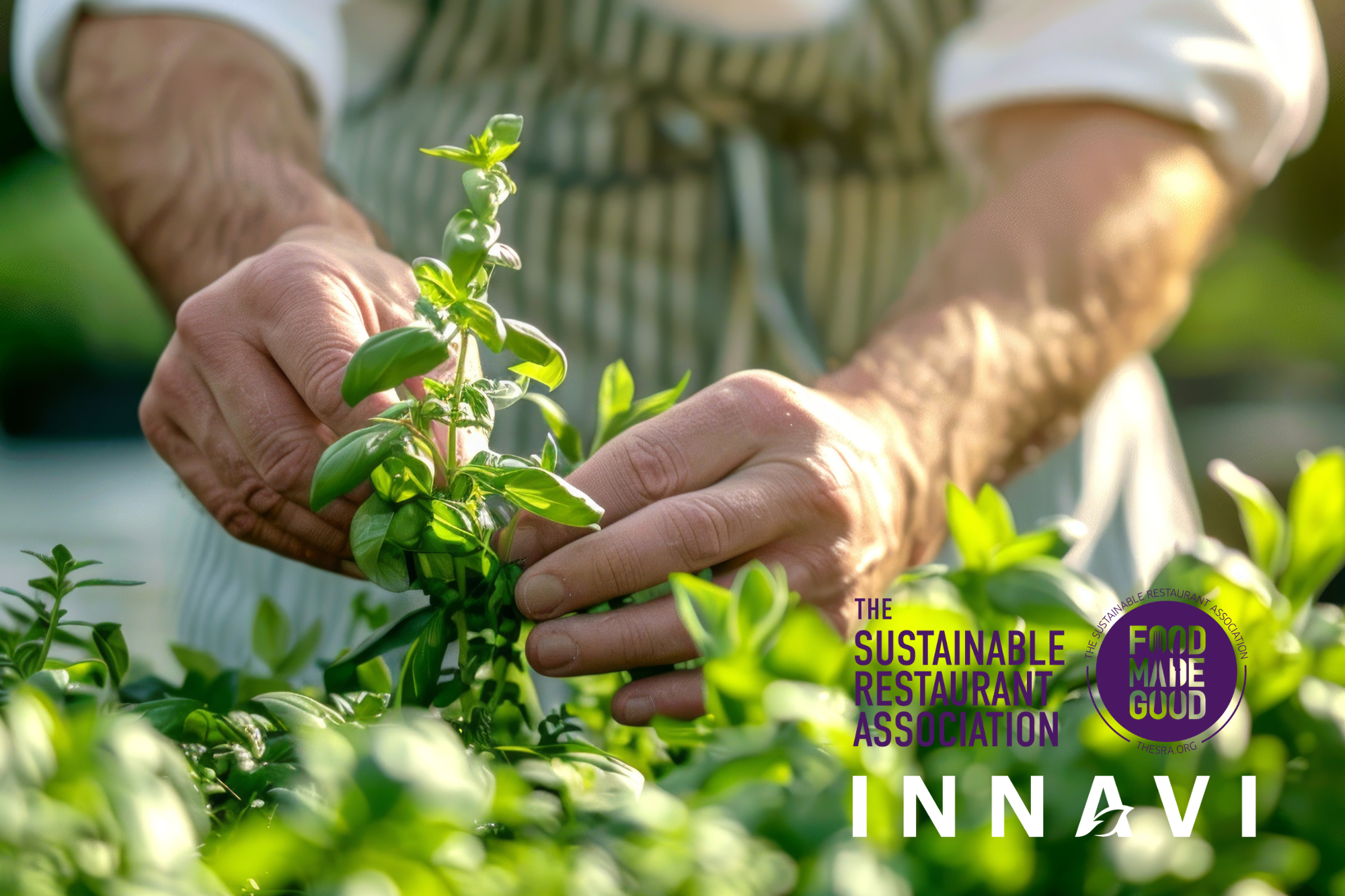 PRESS RELEASE: The Sustainable Restaurant Association’s Food Made Good Standard officially launches in Australia, in partnership with Innavi