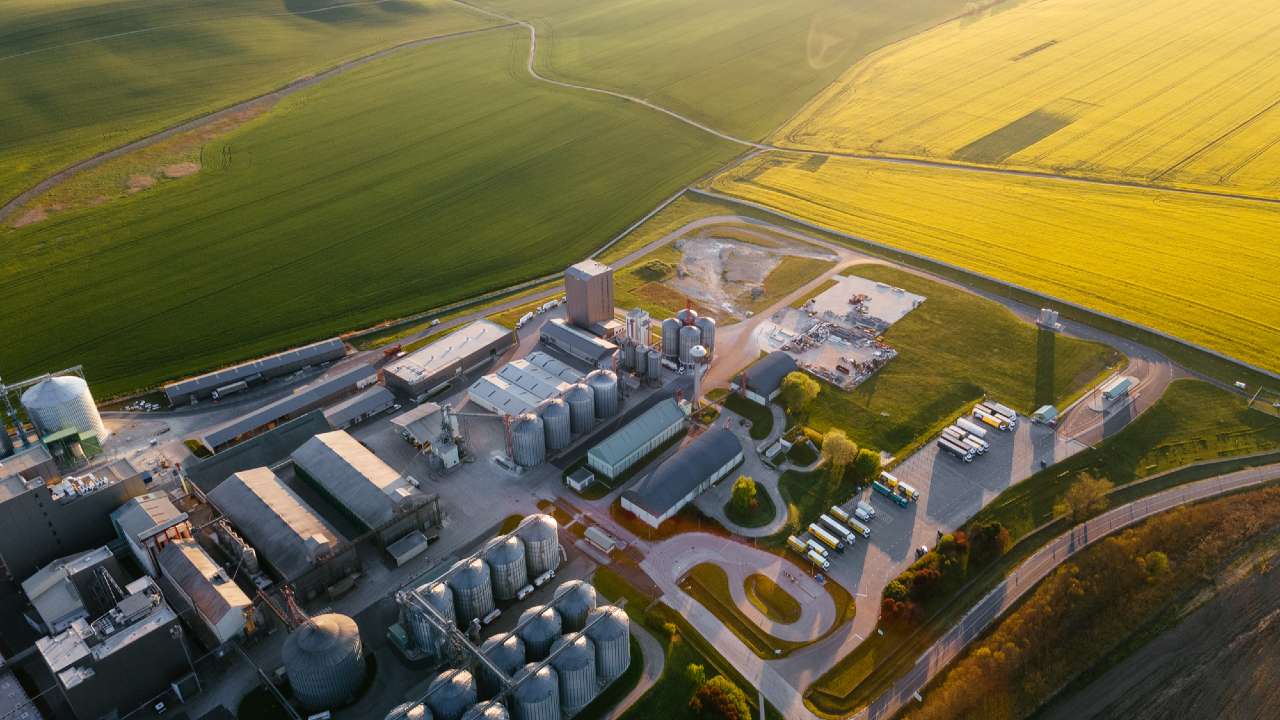 PRESS RELEASE: WA Growers Offered First Opportunity to Invest in Large-Scale Canola Processing Plant