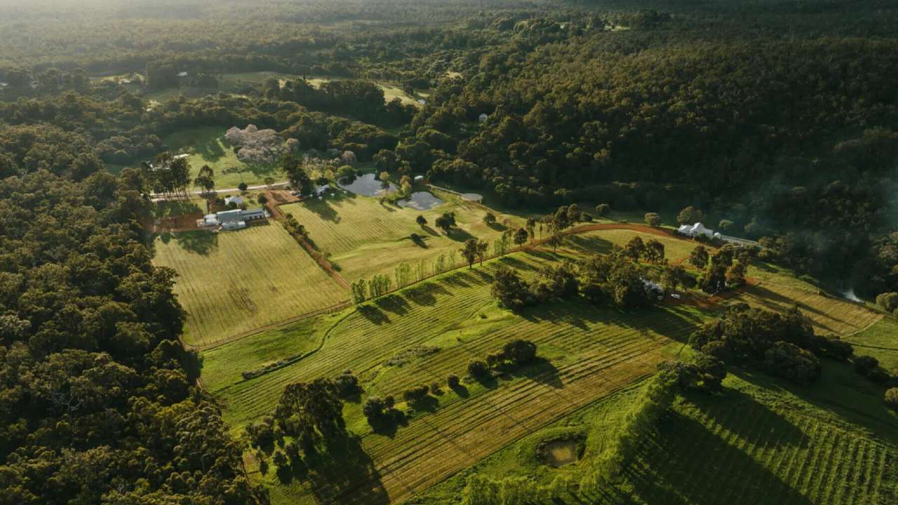 PRESS RELEASE: Pemberton Wedding Venue Secures 7 Bookings in 3 Weeks Through Perth Agency AI Search Strategy