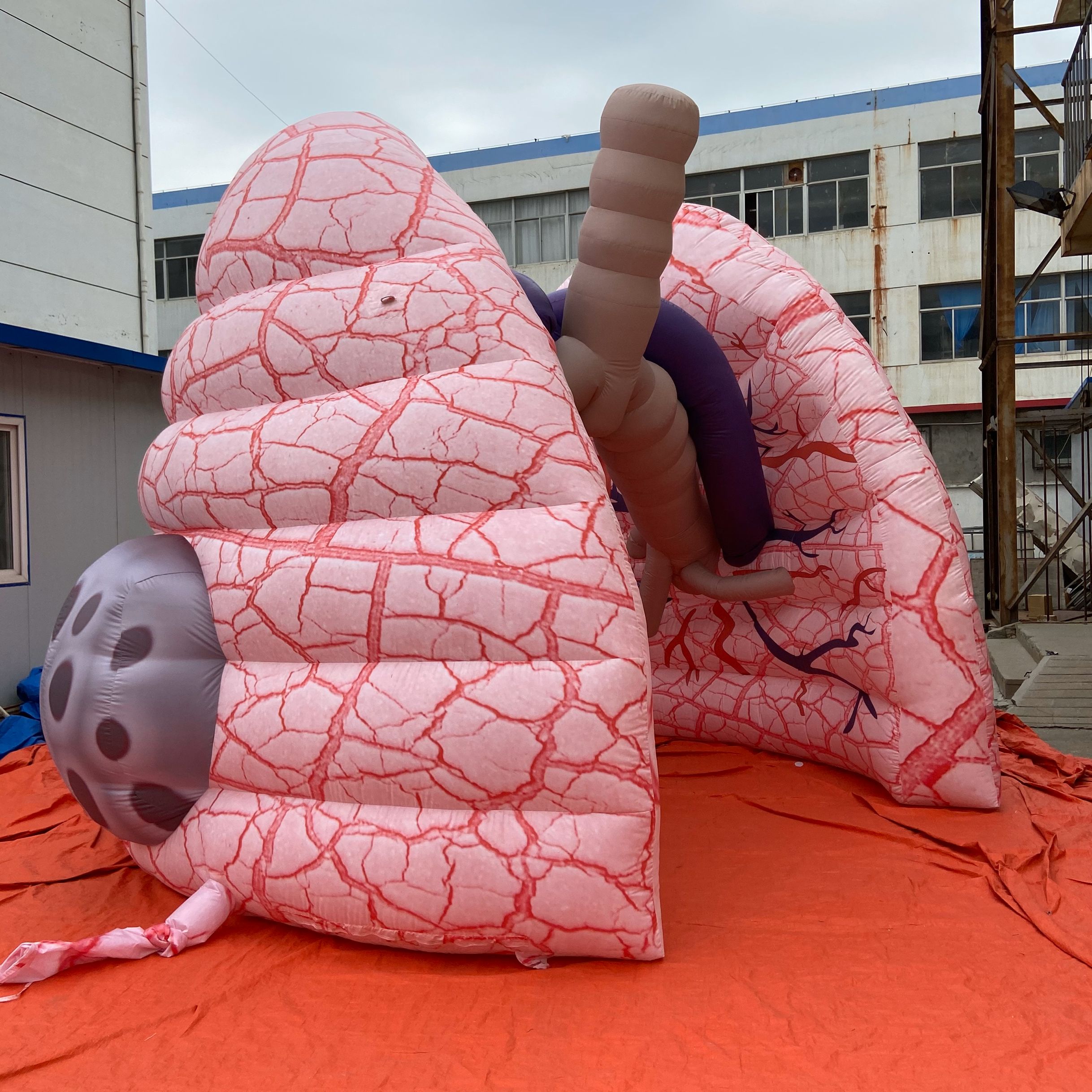 PRESS RELEASE: Mega Inflatable Brain comes to Sydney