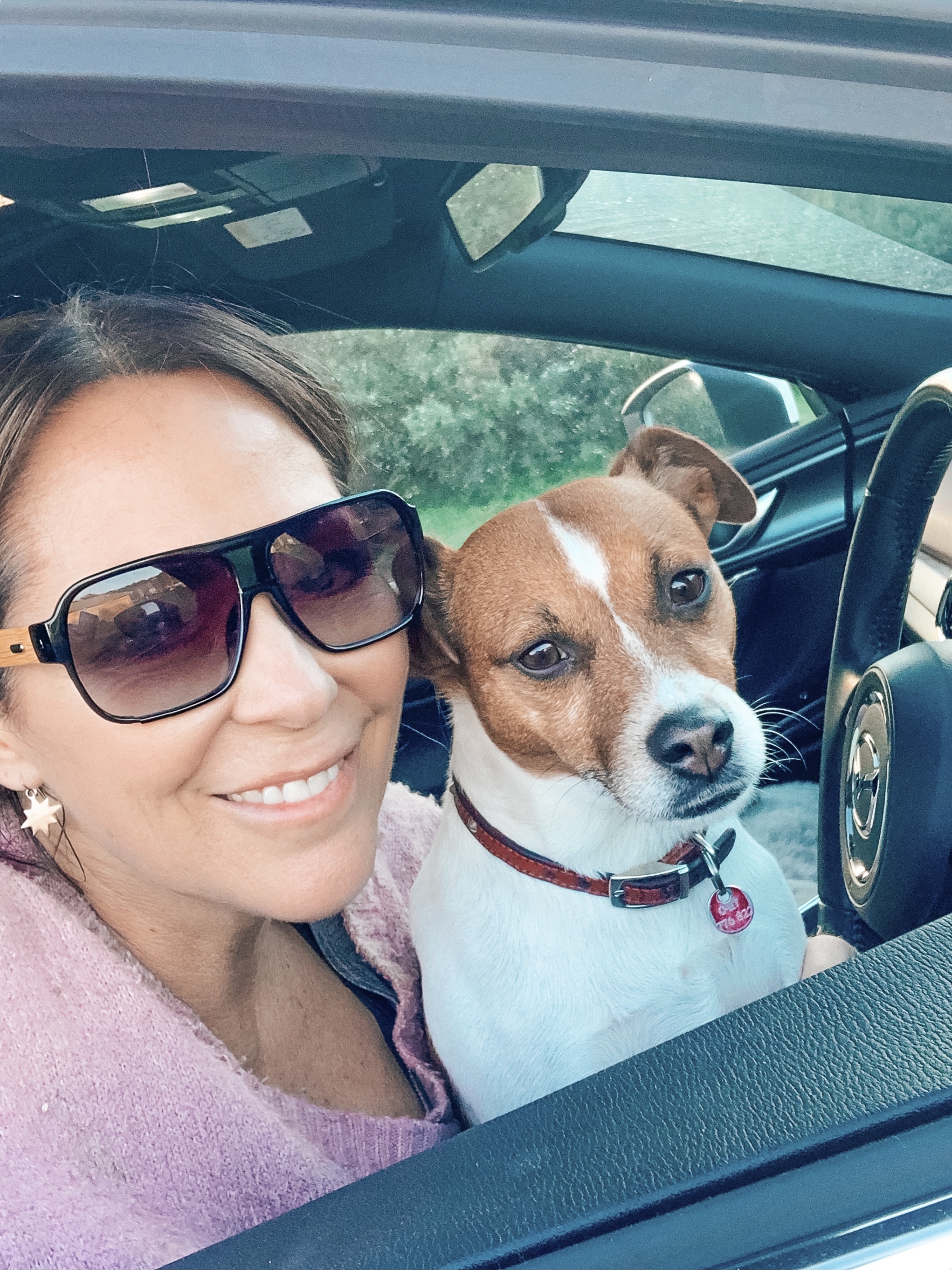PRESS RELEASE: 10 WAYS TO KEEP YOUR PET HEALTHY AND HYDRATED THIS SUMMER