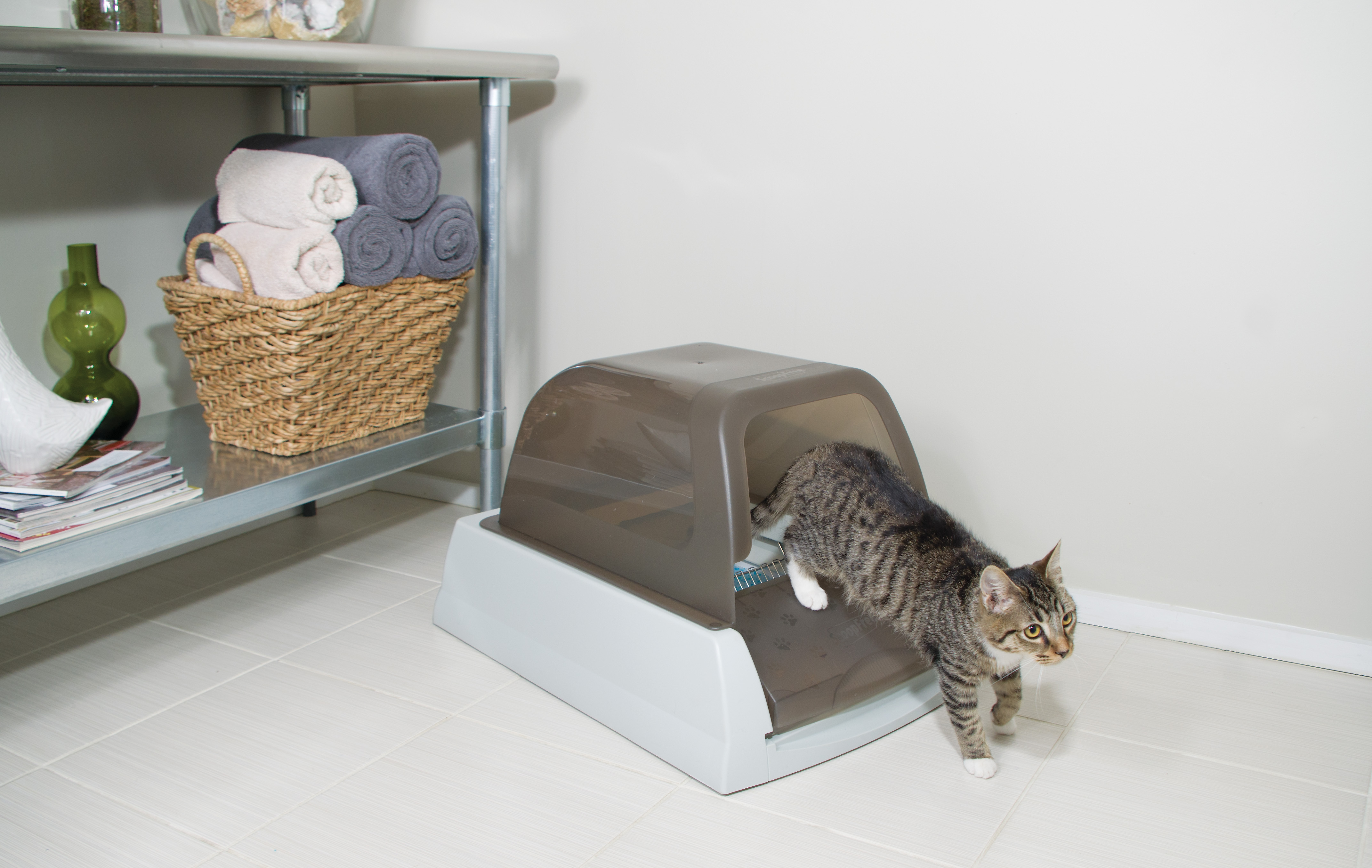 PRESS RELEASE: 5 TIPS ON HOW TO FIND THE PERFECT SPOT FOR YOUR KITTY LITTER