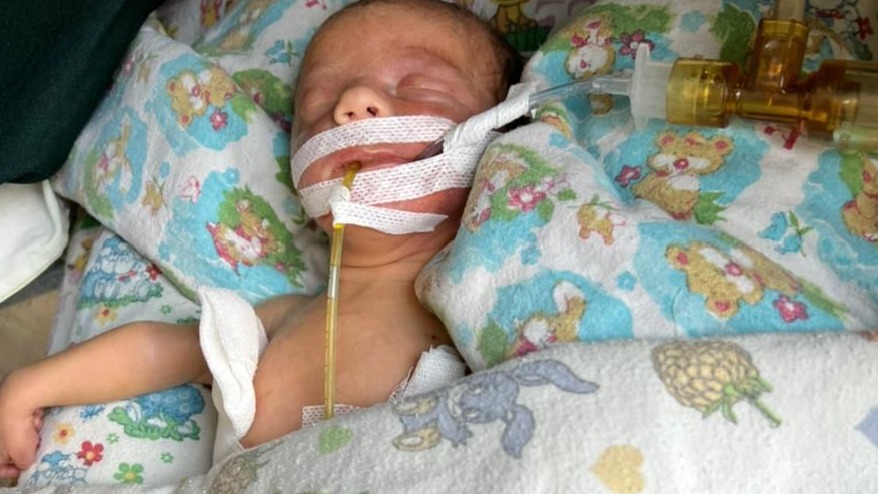 PRESS RELEASE: Urgent Fundraiser to Bring Baby Alba Home to Australia from Ukraine
