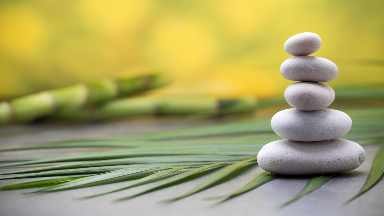 PRESS RELEASE: Wellness in the Workplace
