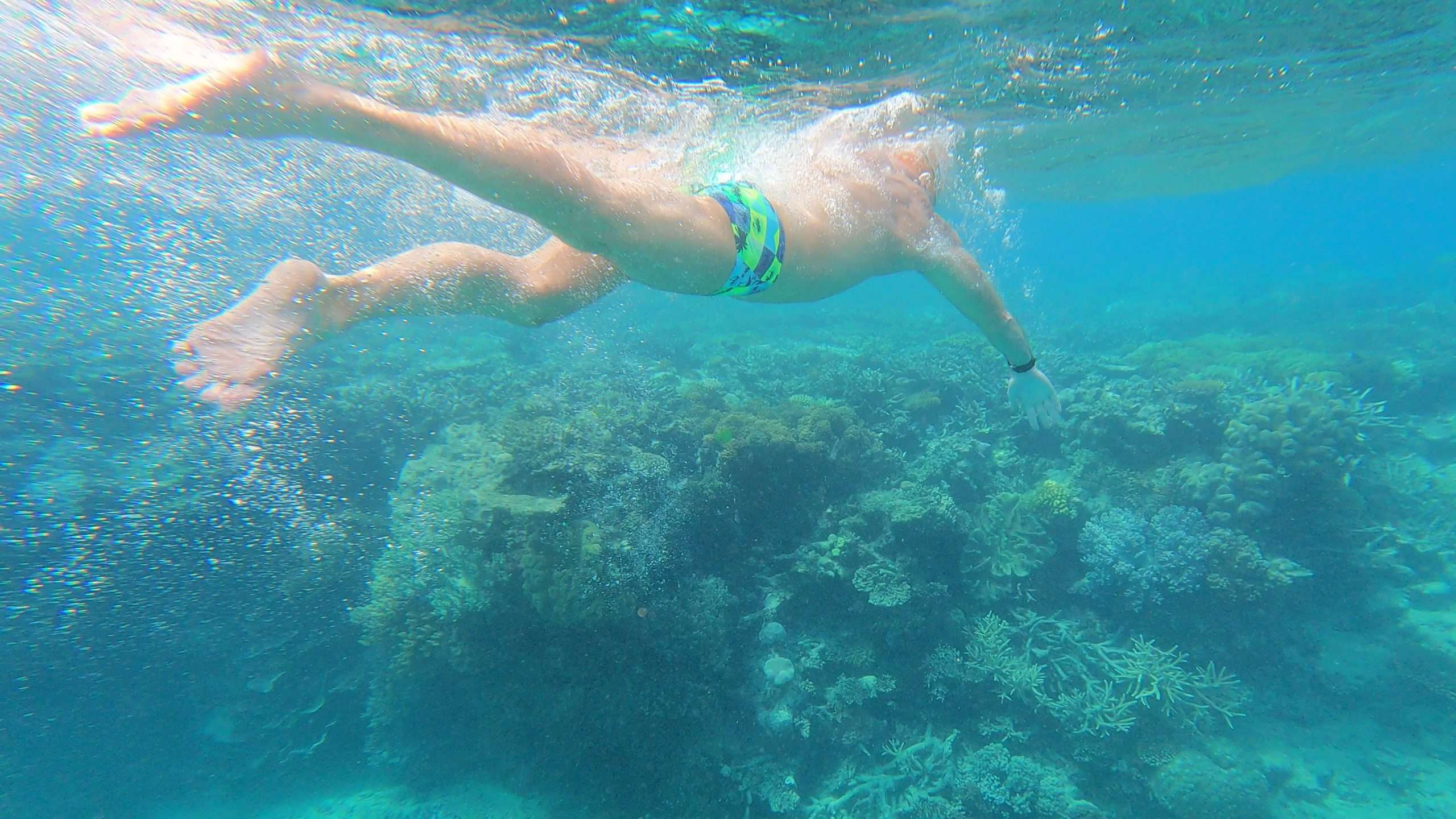 PRESS RELEASE: Liesel Jones OAM set to swim the Great Barrier Reef