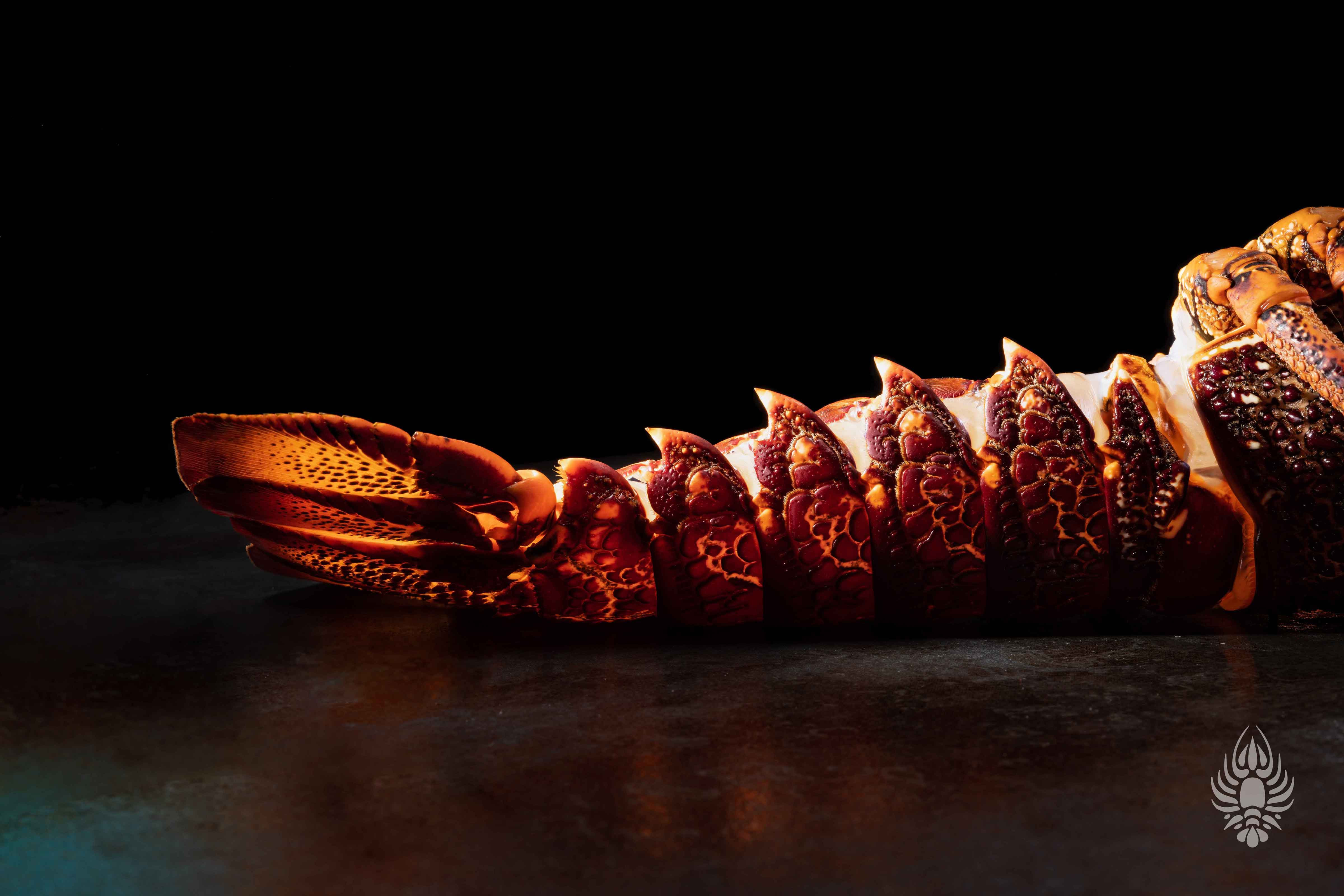 PRESS RELEASE: Dragon Tasmania spearheads new global markets for wild Tasmanian southern rock lobster
