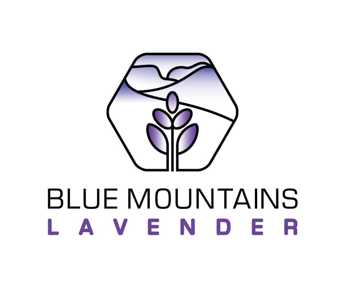 Blue Mountains Lavender