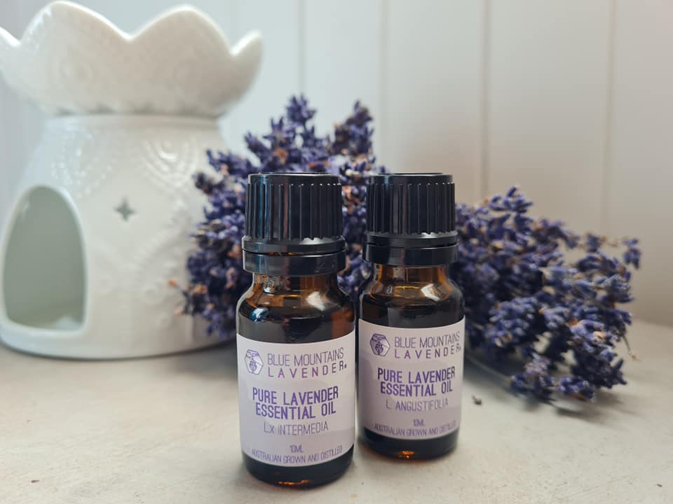 PRESS RELEASE: Blue Mountains Lavender wins an industry association award for its essential oil against a field of national and international entrants