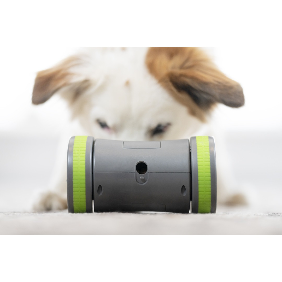 PRESS RELEASE: Unleash Joy this Christmas with PetSafe®: Top Gifts for Your Pets