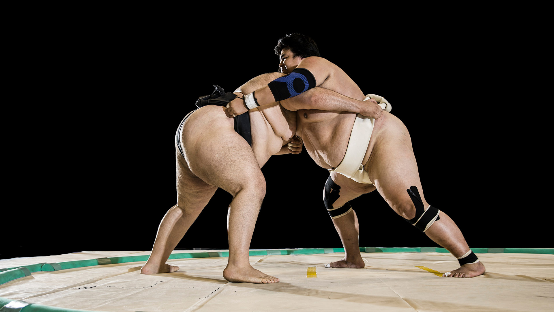 PRESS RELEASE: Sumo Live & Large
