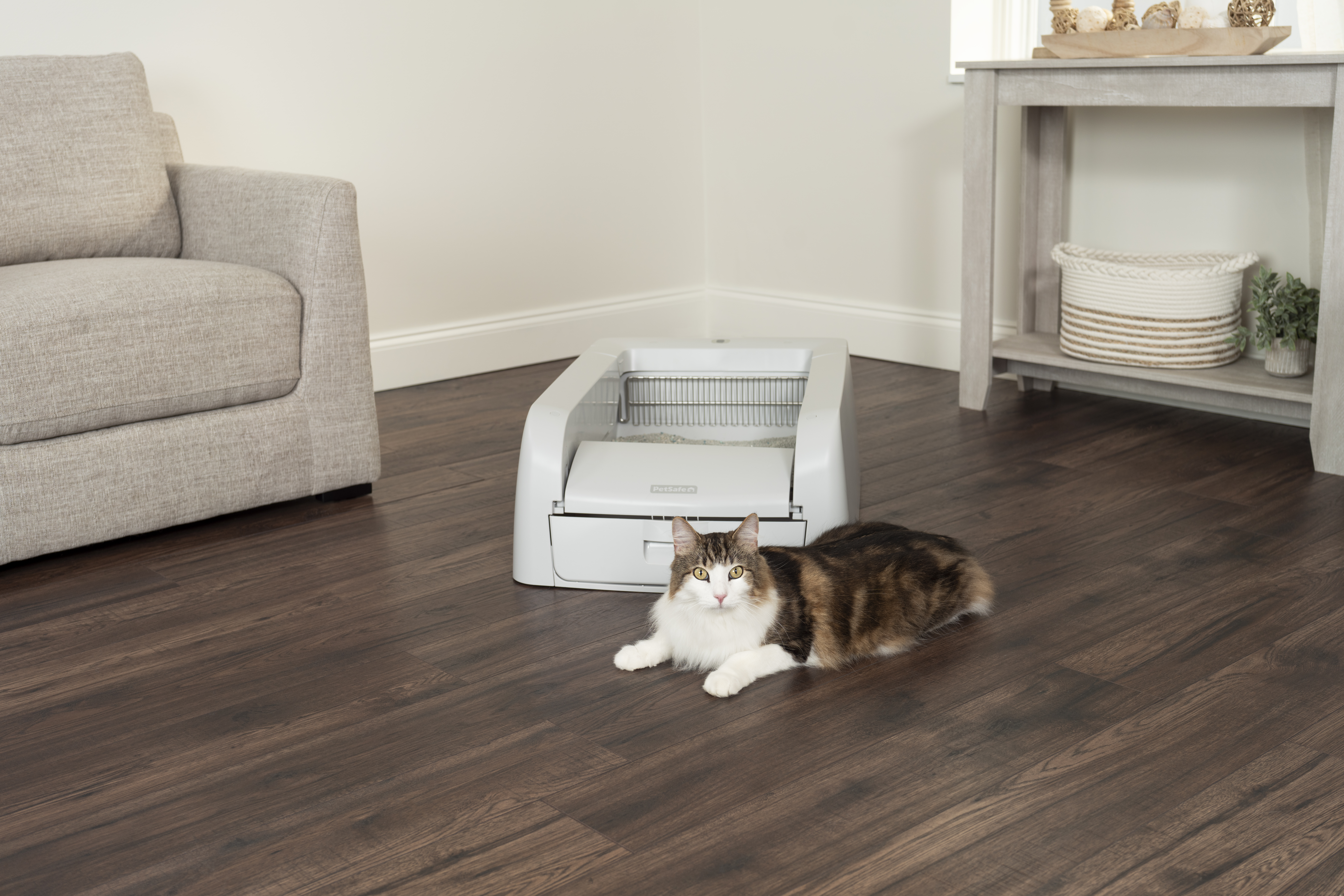 PRESS RELEASE: Celebrate Respect Your Cat Day with PetSafe® and Give Your Feline Friend the Gift of Cleanliness!