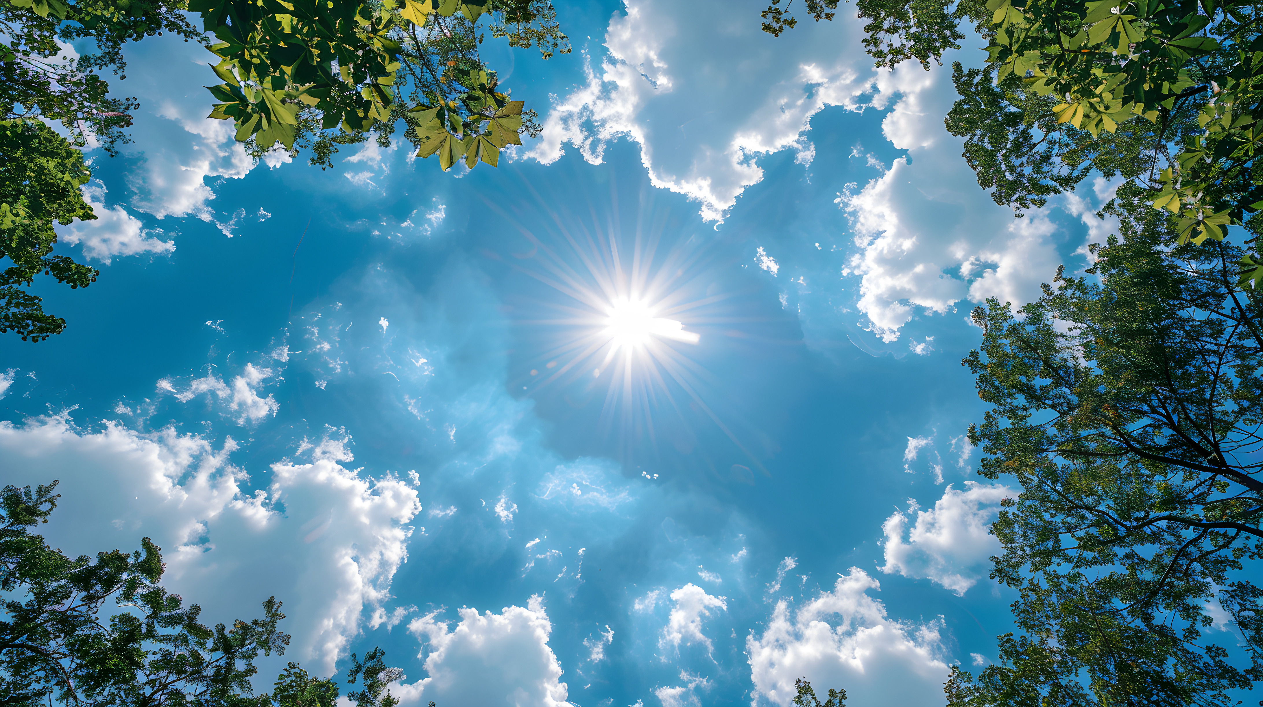 PRESS RELEASE: Championing Environmental Stewardship: Past, Present, and Future