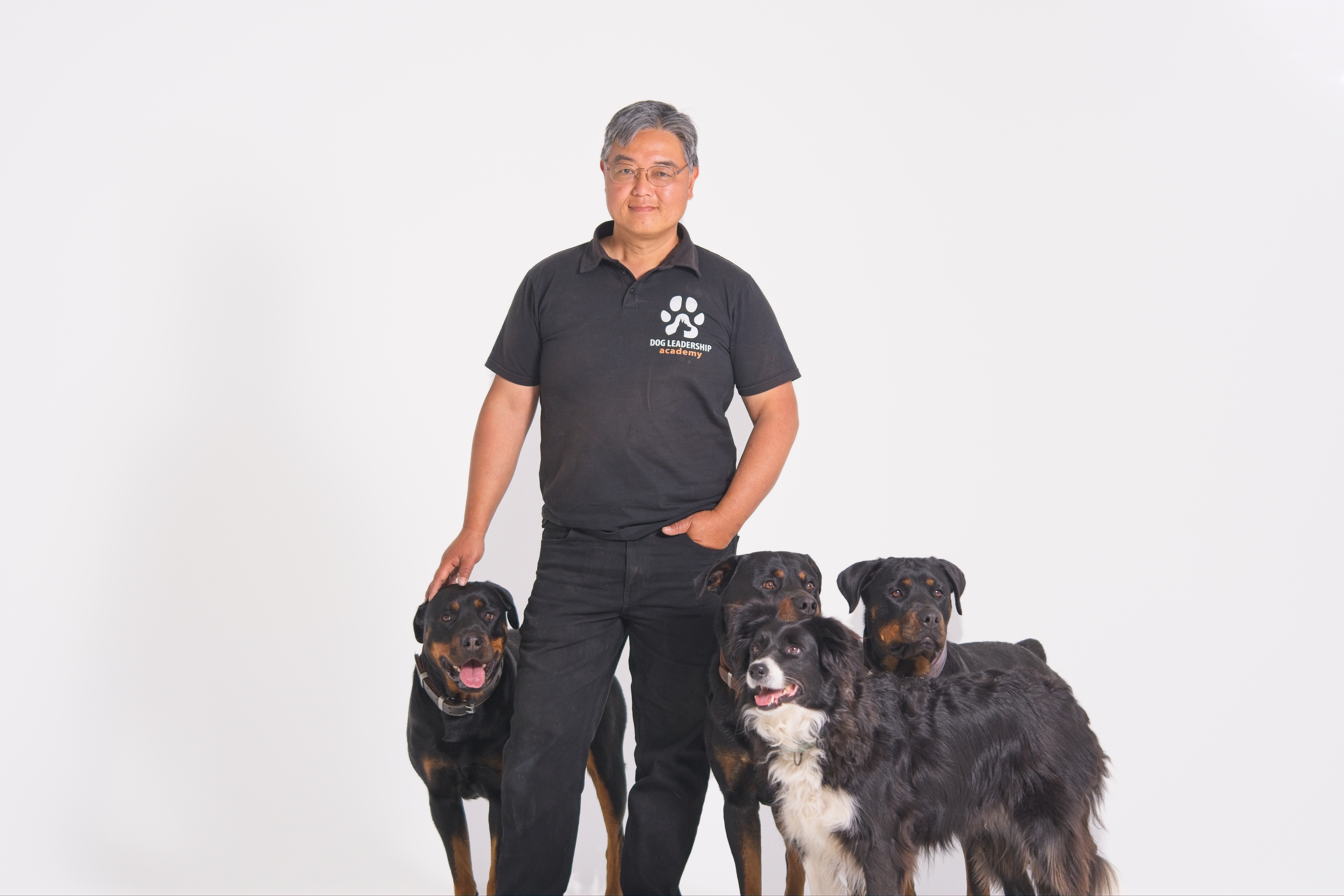 PRESS RELEASE: New Book “Beyond Treats” Achieves #1 Bestseller Status in 24 Hours, Aiming to Save Dogs with a Revolutionary Approach to Training