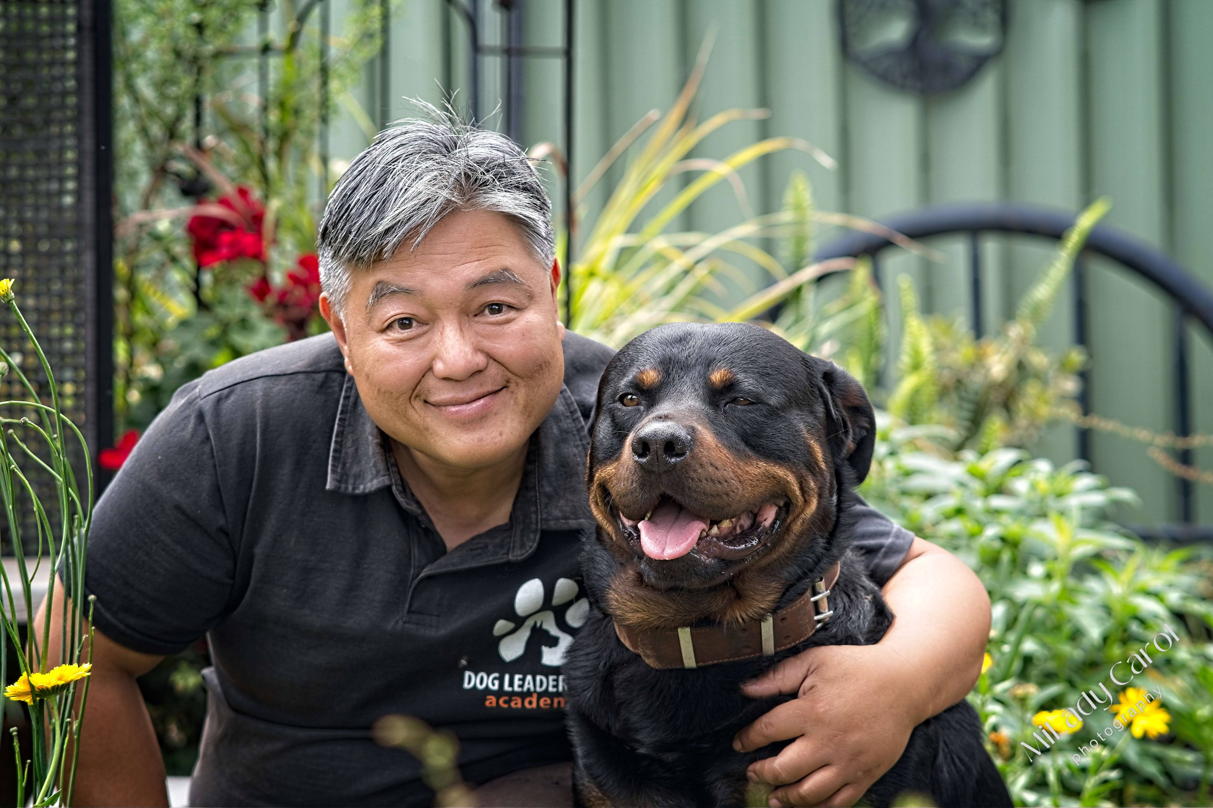 PRESS RELEASE: Dog Attacks on the Rise: Beyond Treats Offers a Life-Saving Solution to Dog Behaviour Challenges