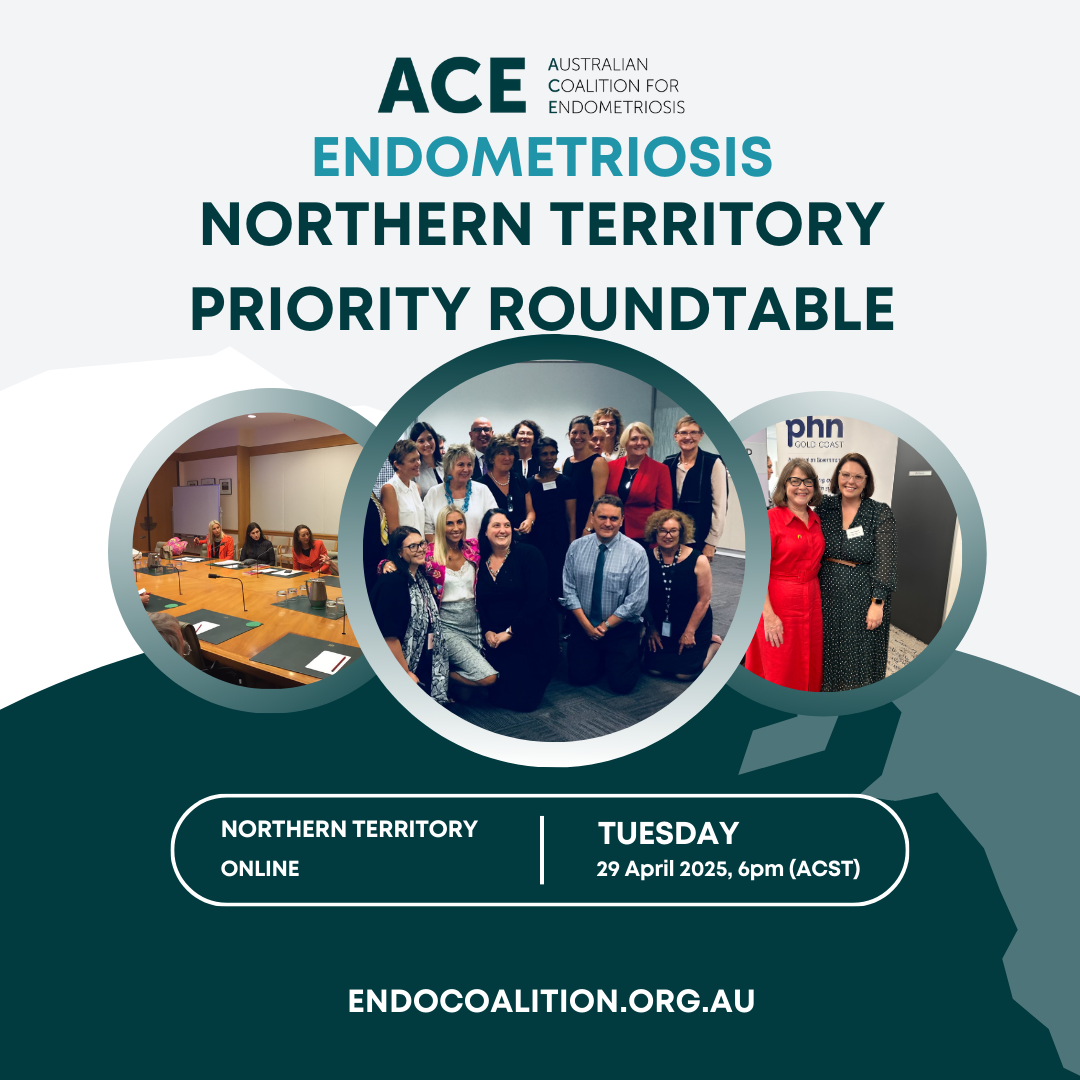 PRESS RELEASE: Northern Territory: Endometriosis Priority Setting Roundtable – 29 April 2025