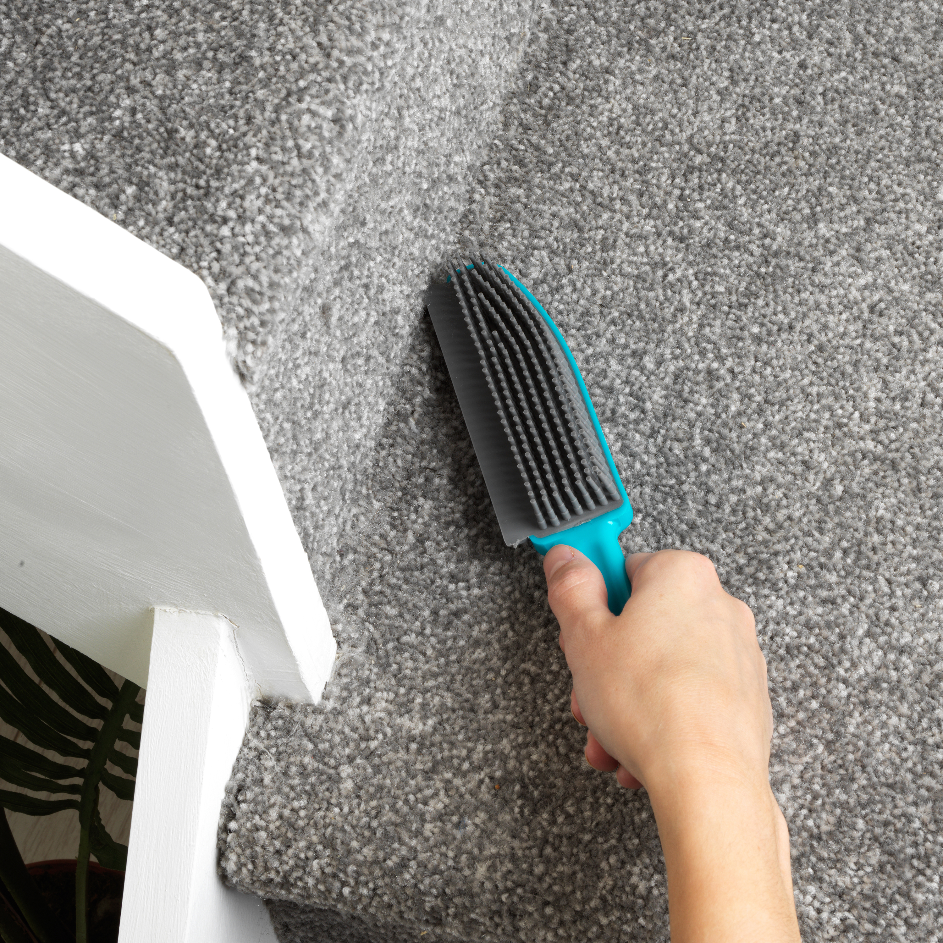PRESS RELEASE: Samples Available – FIVE AFFORDABLE MUST-HAVES CLEANING PRODUCTS FOR PET OWNERS