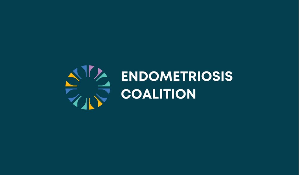 PRESS RELEASE: National Peak Body Welcomes Historic Investment in Endometriosis Research and Launch of Dedicated Institute