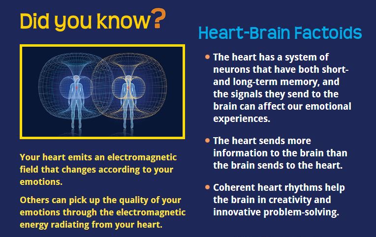 PRESS RELEASE: “Breathe to Balance” – How Proper Breathing Aligns Brain, Heart, and Health