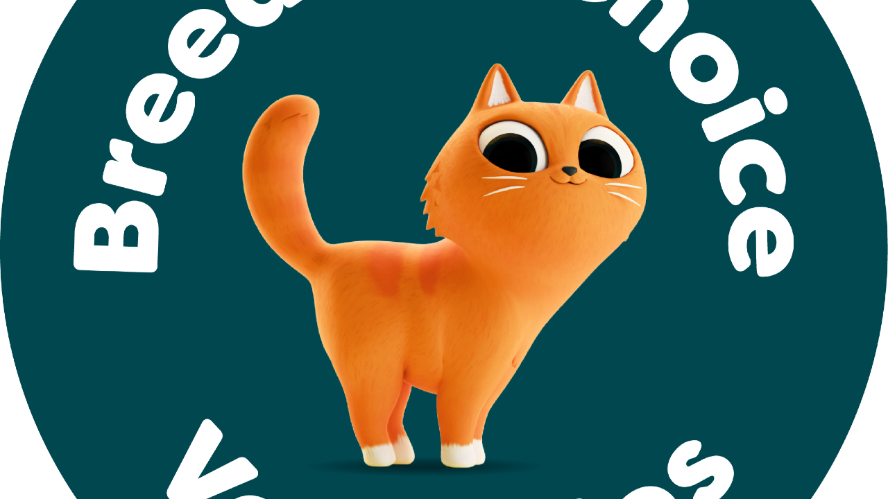 PRESS RELEASE: Spring Clean Your Cat’s Litter Box: 5 Vet-Approved Tips for a Fresher, Happier Home