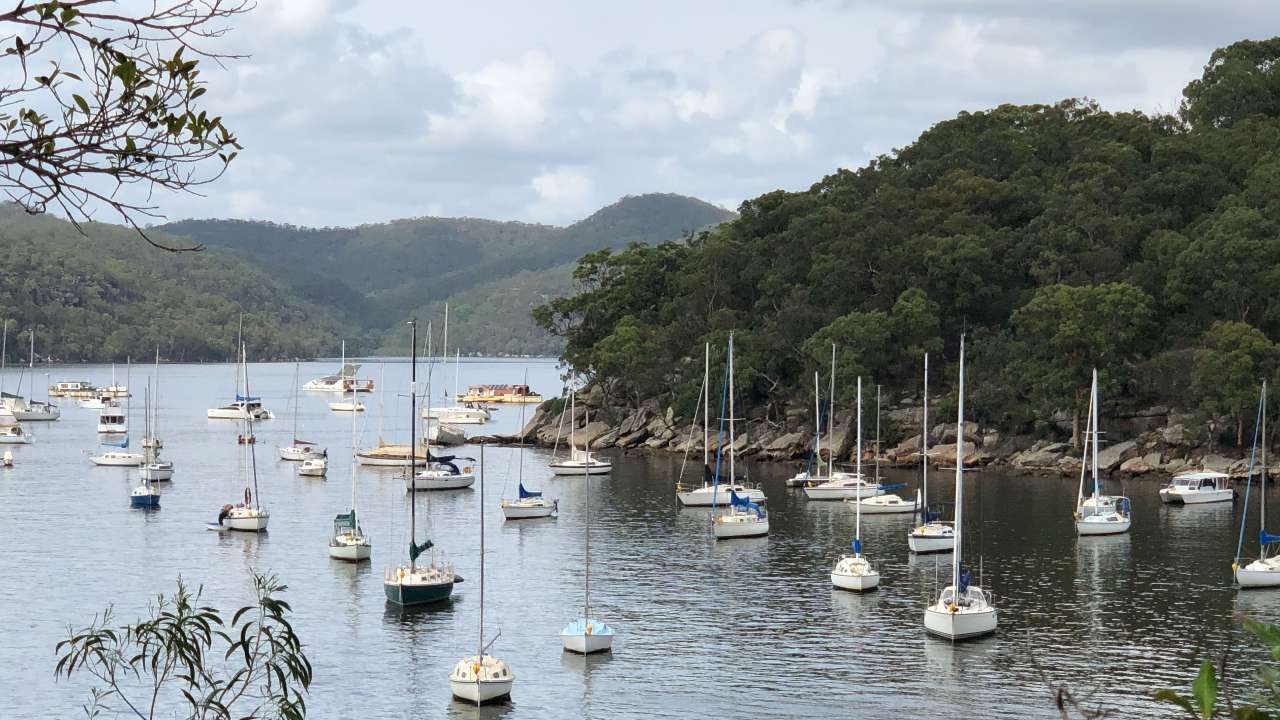 PRESS RELEASE: Hornsby Shire Council Takes Top Honours at the 2025 Keep Australia Beautiful NSW Sustainable Cities Awards