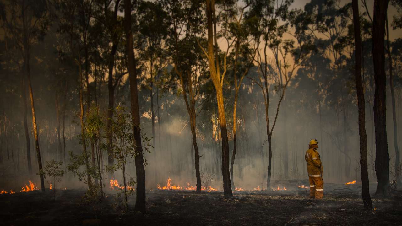 PRESS RELEASE: What Happens When the Forecast Gets it Wrong: Why Fire Safety Can’t Wait