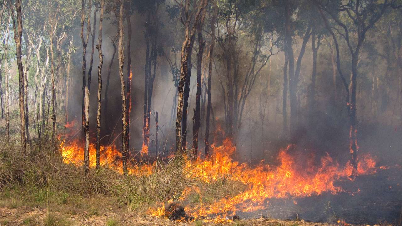 PRESS RELEASE: What Happens When the Forecast Gets it Wrong: Why Fire Safety Can’t Wait