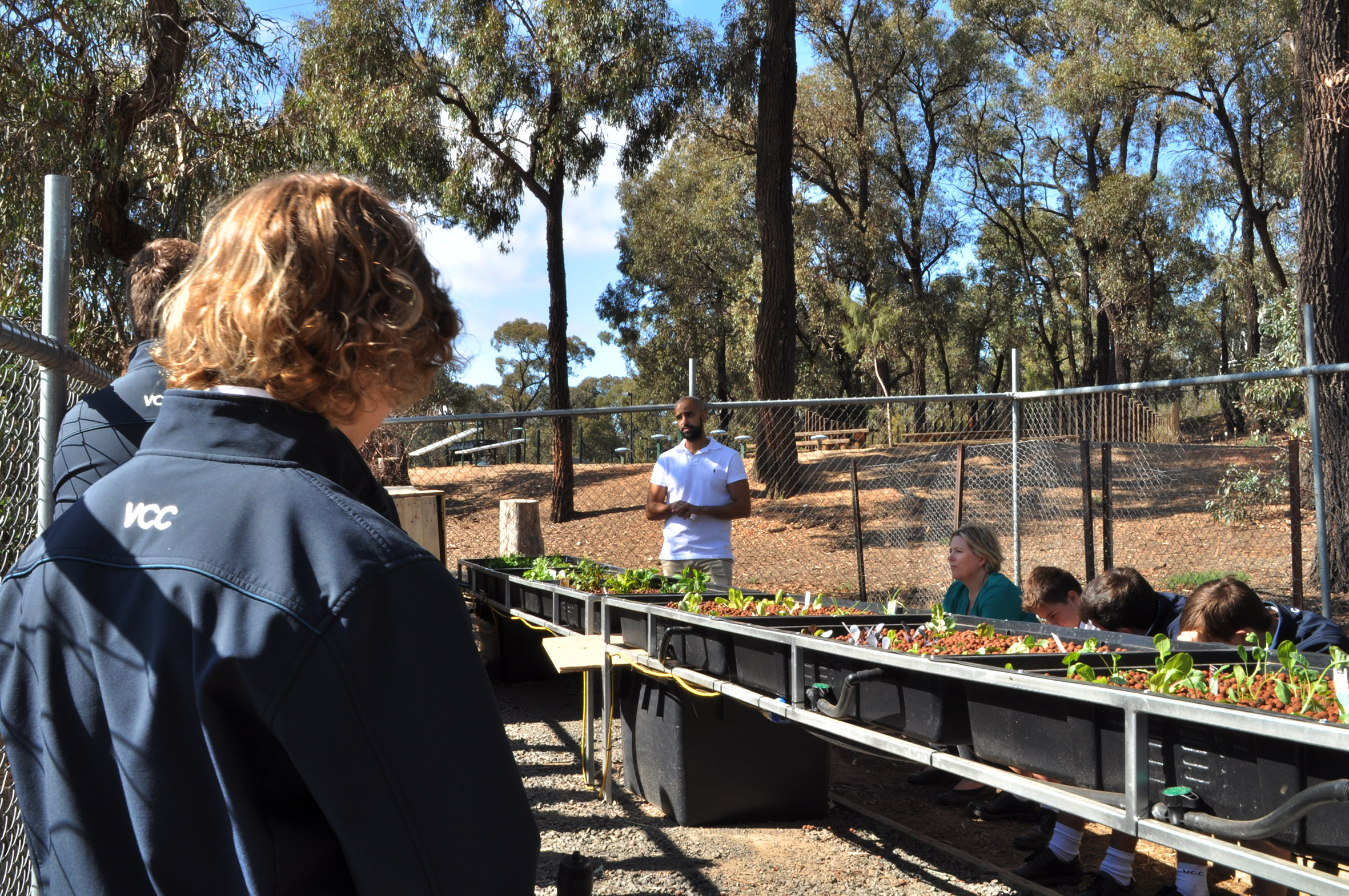 PRESS RELEASE: Urban Green Farms and MainStream Aquaculture partner to provide sustainable Aquaponics for Aussie Schools.