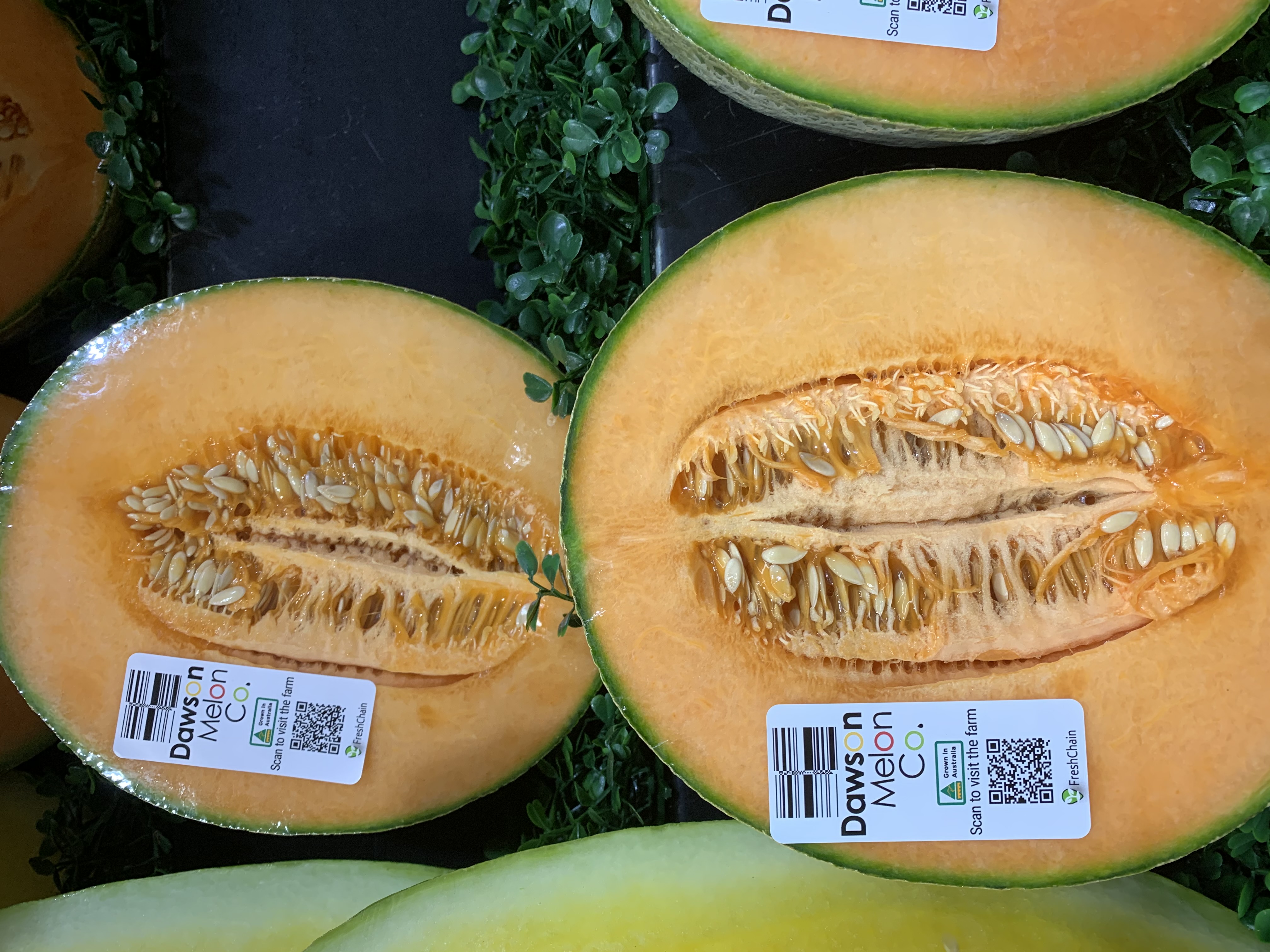 PRESS RELEASE: Cut rockmelons tracked from paddock to plate for the first time in Australia with in store support from specialty fresh food retailers.