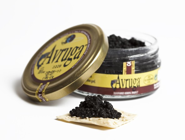 PRESS RELEASE: Who wouldn’t want Free Caviar?