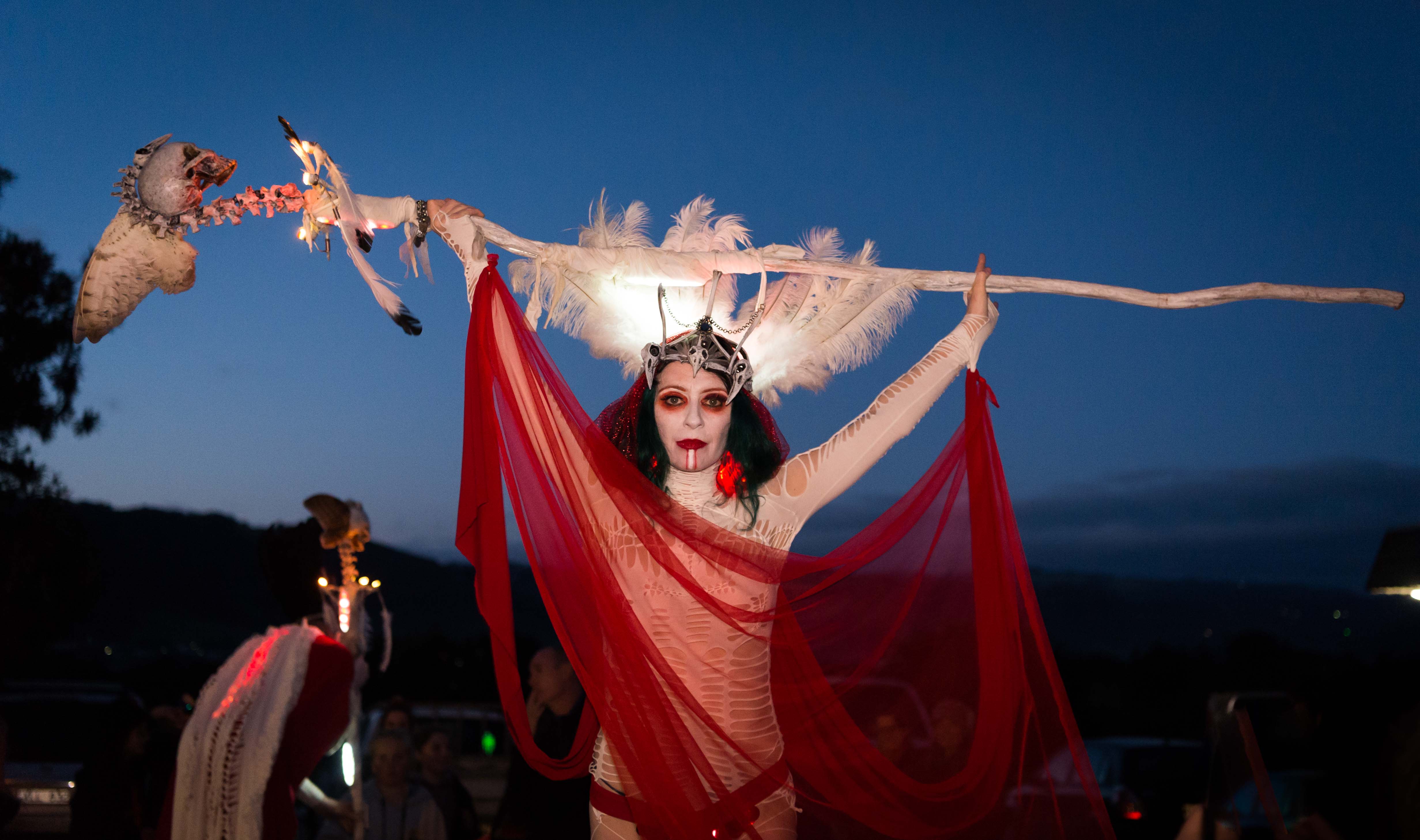 PRESS RELEASE: Apollo Bay’s boundary pushing arts, food and music festival, WinterWild returns this August in a celebration of dark winter energy.