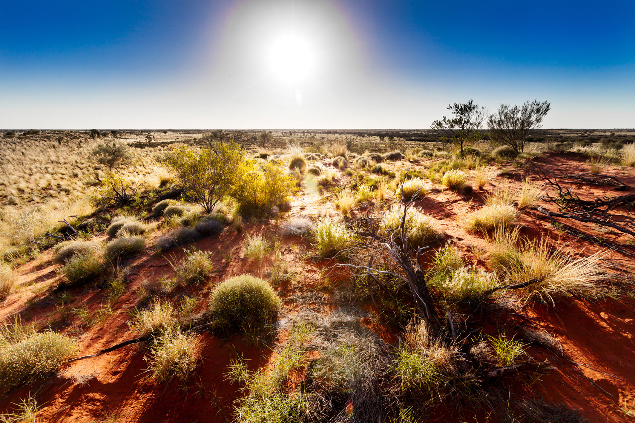 PRESS RELEASE: Australia has zero chance of achieving lower emission targets if we don’t change WHEN we use power. Ahead of world climate conference, Australian energy experts unveil ‘secret weapon’ to revolutionise industry operations and halve the cost of energy for a greener future