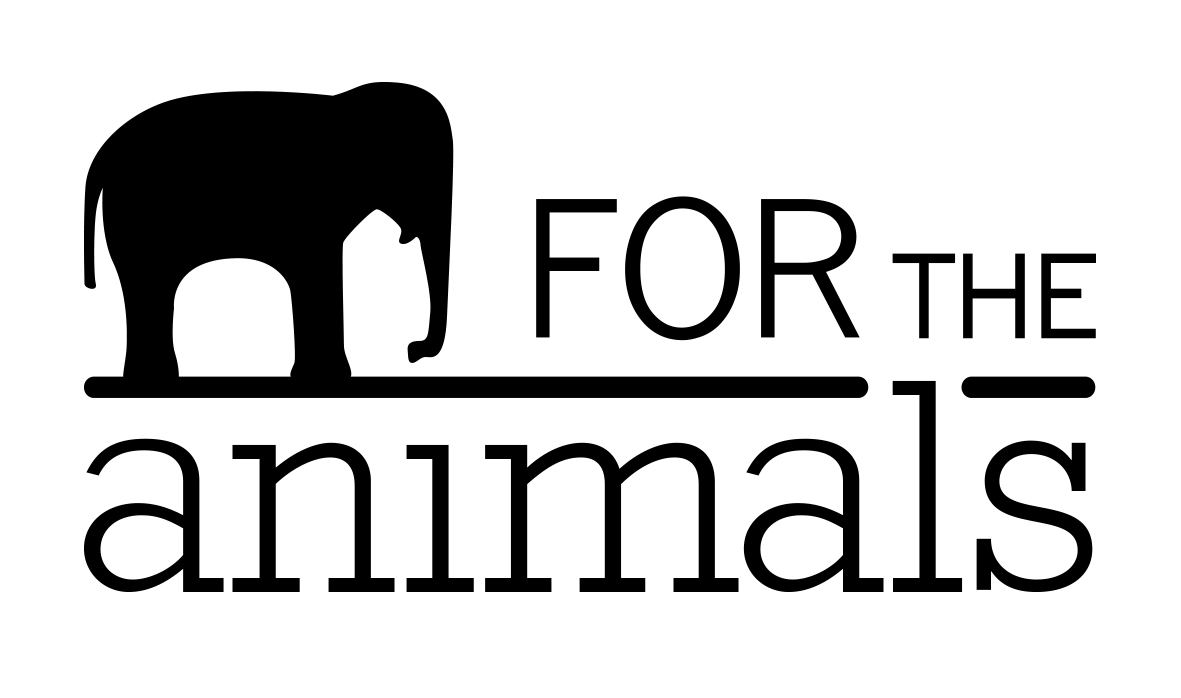 PRESS RELEASE: ART AUCTION FEATURING 5 ARCHIBALD WINNERS, PICASSO, BANKSY AND MORE FOR THE PROTECTION OF WILDLIFE AND HABITAT, PREVENTION OF FUTURE ZOONOTIC PANDEMICS AND CLIMATE CHANGE