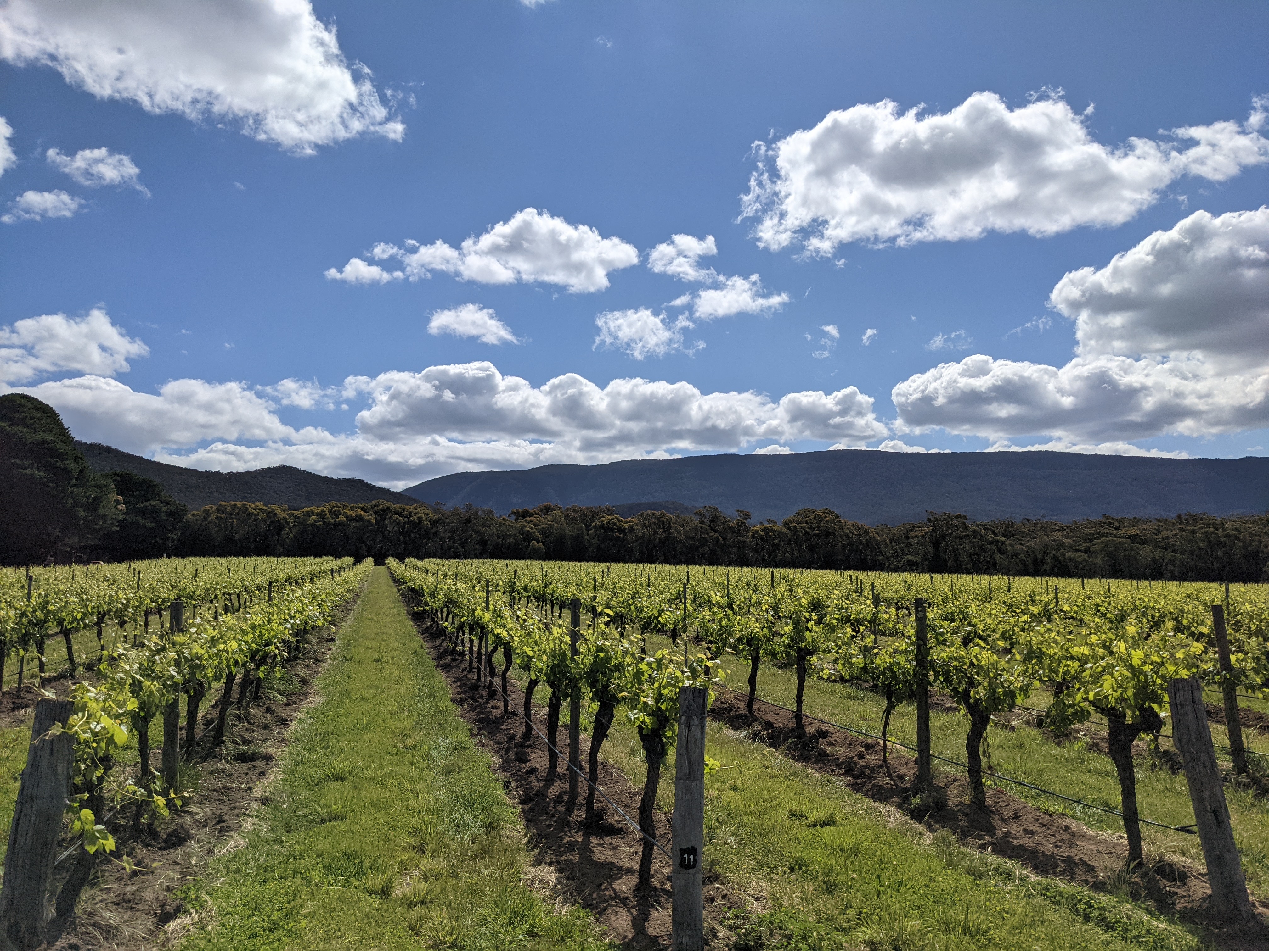 PRESS RELEASE: Small Grampians Winery wins Australia’s most prestigious wine award