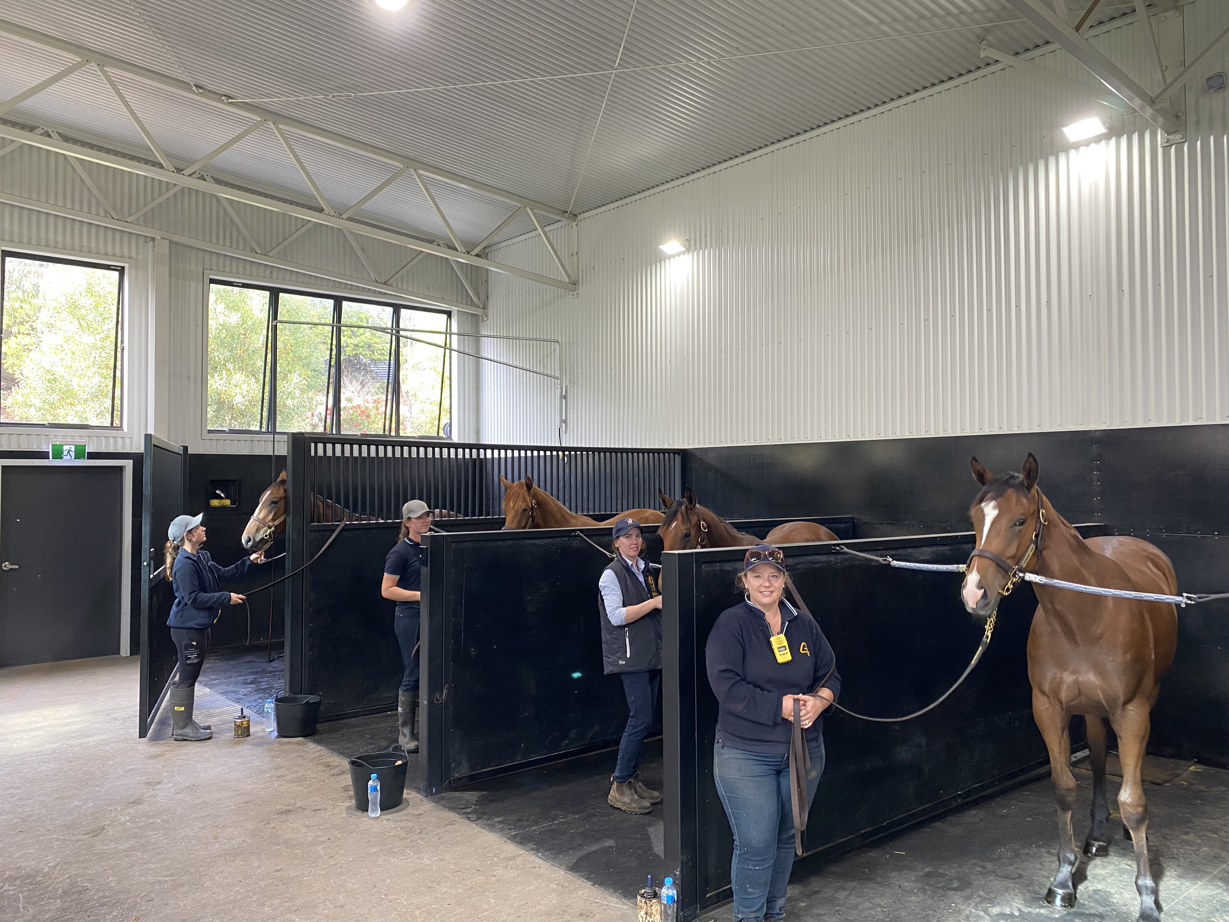 PRESS RELEASE: Silverdale Farm hoping for triple dead heat at Kensington