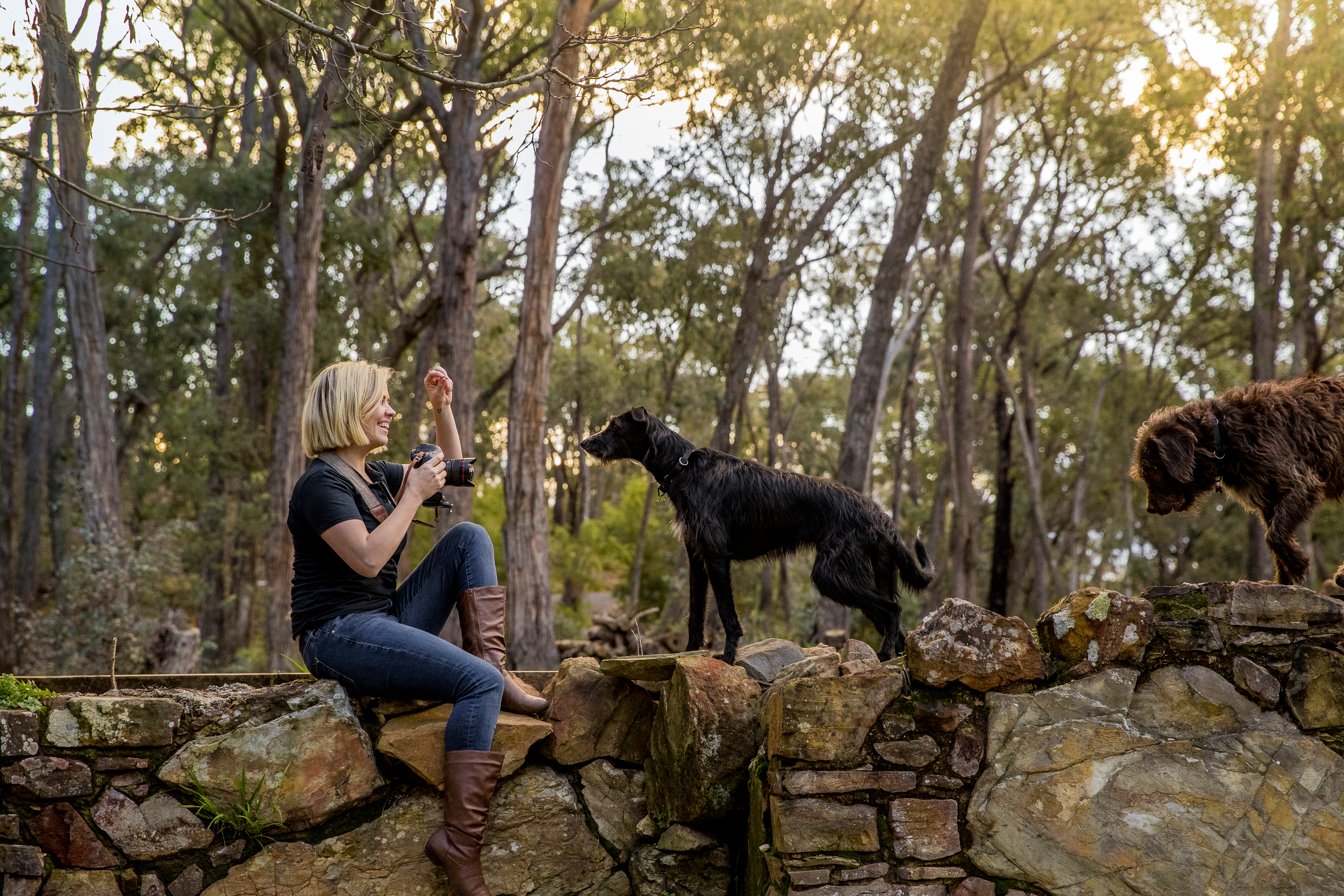 PRESS RELEASE: Tails of the World: 40 International Pet Photographers United to Raise Funds for Pets in Need