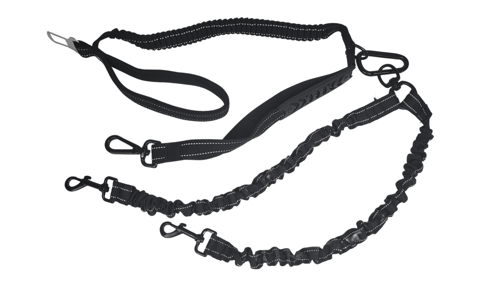 PRESS RELEASE: OneLeash™ With Nine Uses Unveiled by Sunshine Coast Dog Trainer & Behaviourist Charlotte Bryan
