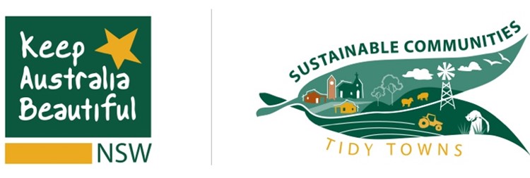 PRESS RELEASE: Singleton named NSW’s most Sustainable Community for 2021
