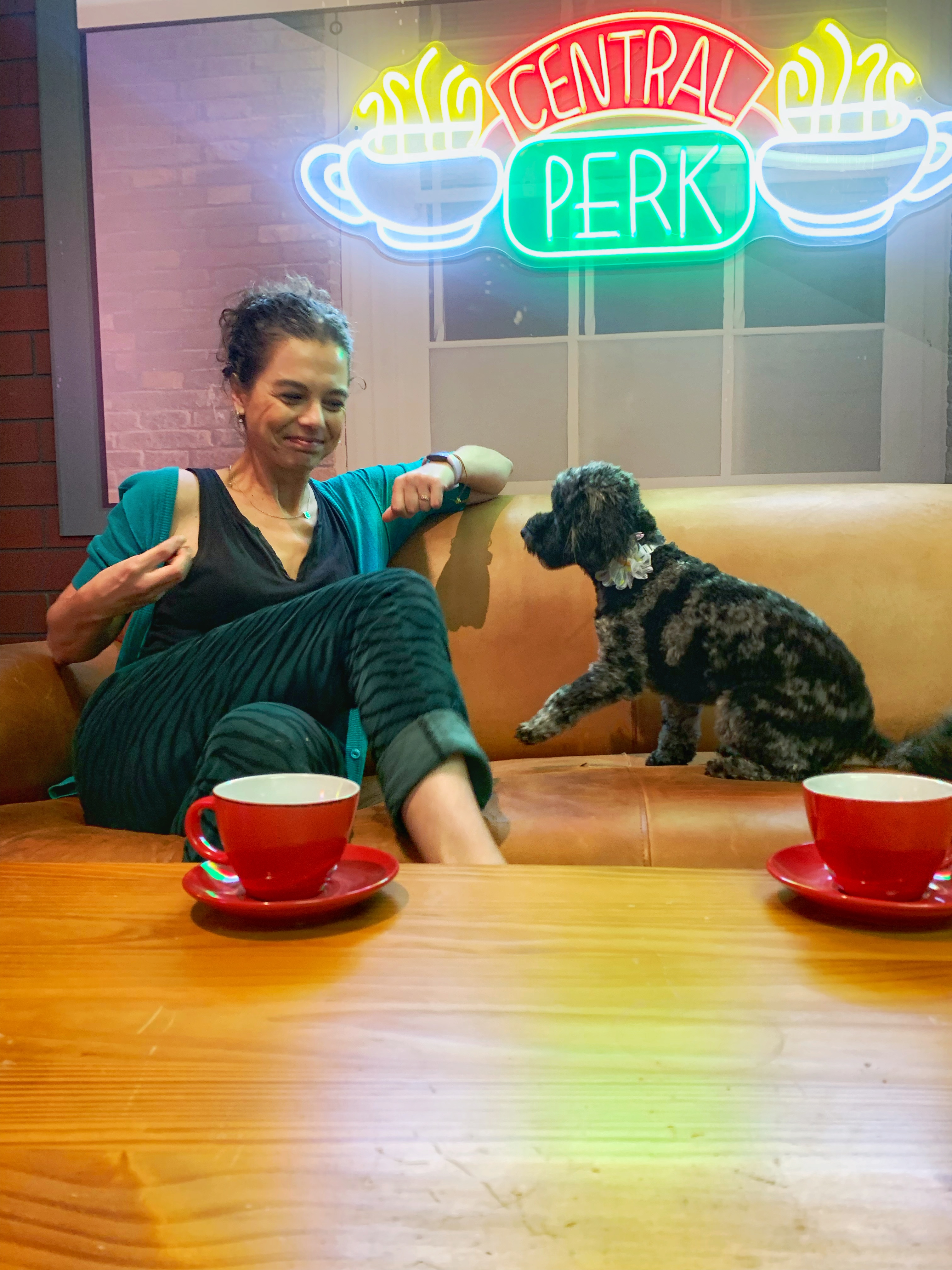 PRESS RELEASE: Sydney’s Selfie Studio Hosts Charity Dog Day