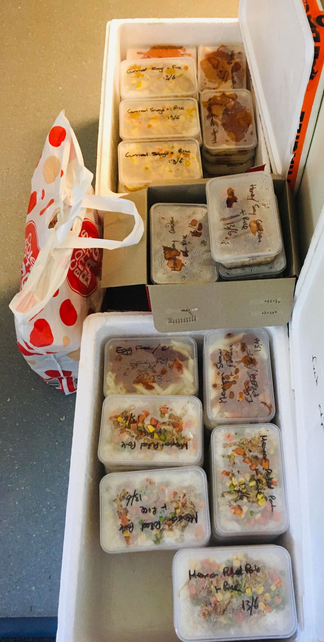 PRESS RELEASE: Dog charity last source of meals for community in Lismore