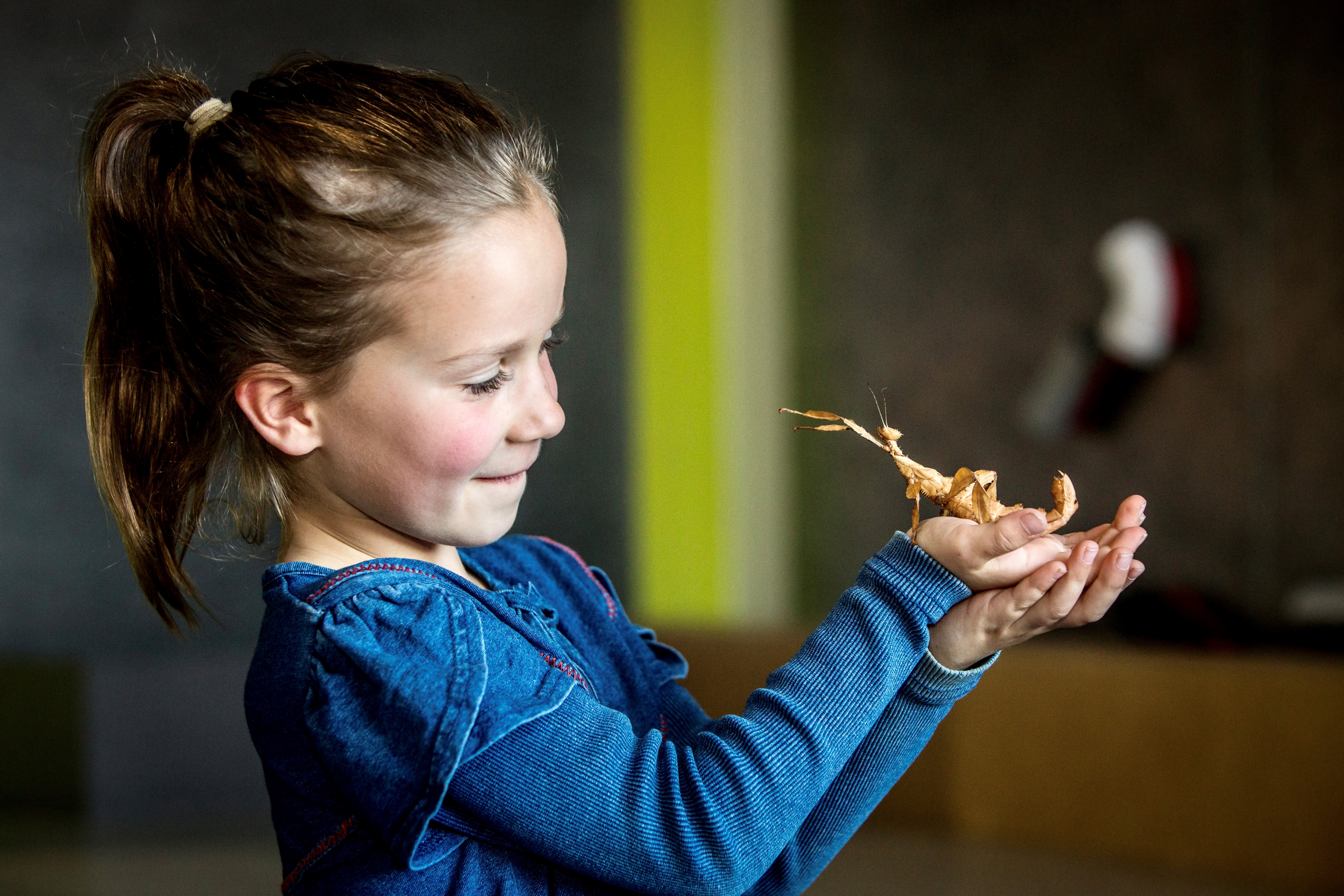 PRESS RELEASE: New Melbourne Science Centre Opens to Accolades After being Plagued with Covid Delays