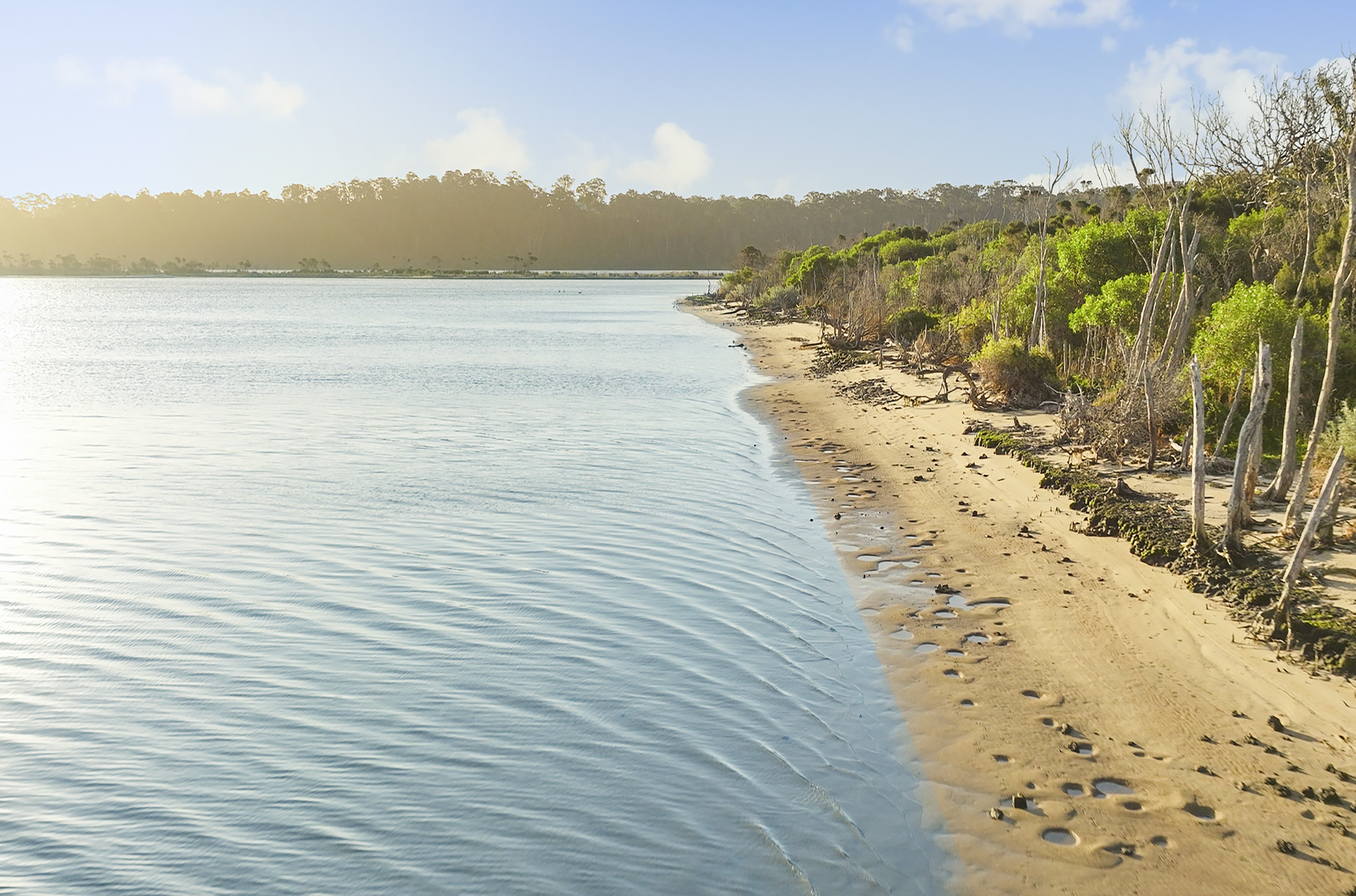 PRESS RELEASE: FREEHOLD ISLAND FOR SALE IN VICTORIA – Yes, you read that right!