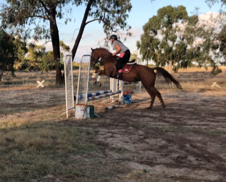 PRESS RELEASE: Saddle Up For Sarah : Supporting a Young Equestrian
