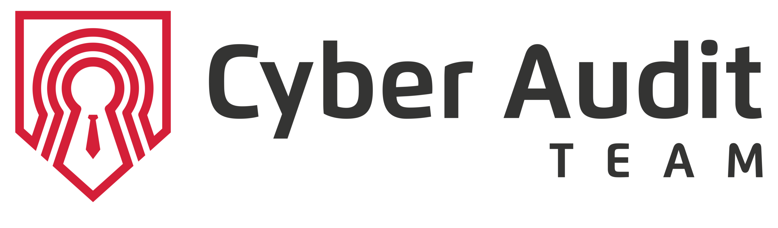 damians@cyberauditteam.com