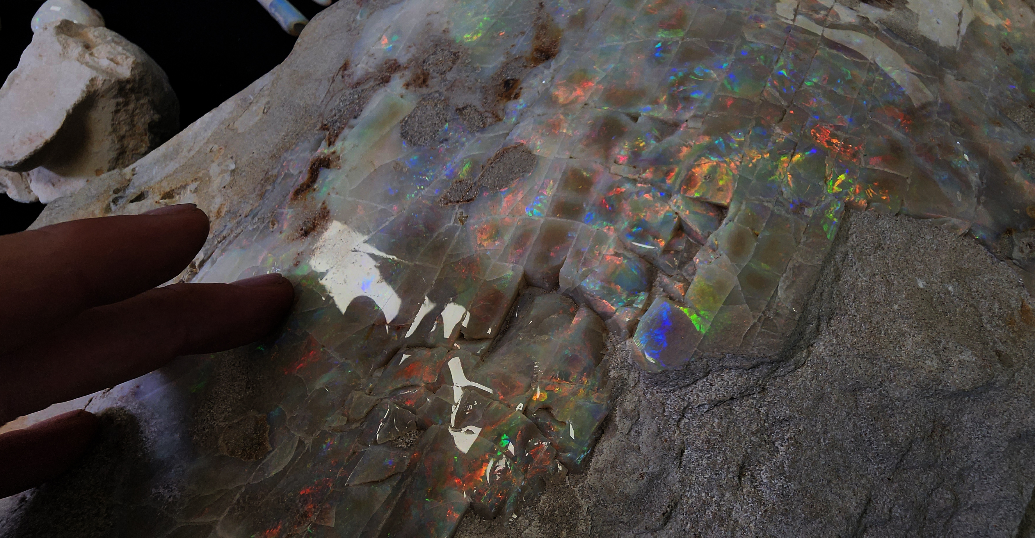 PRESS RELEASE: The most incredible OPAL COLLECTION in Australia’s history could be lost forever