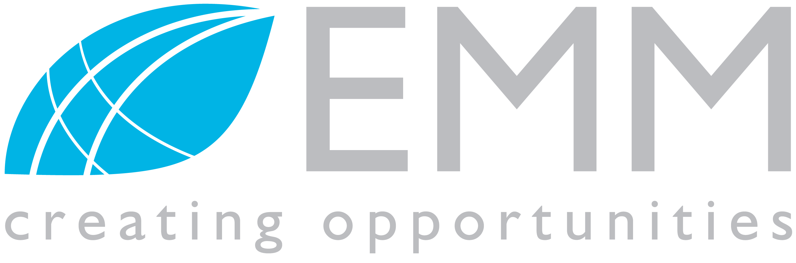 EMM Consulting