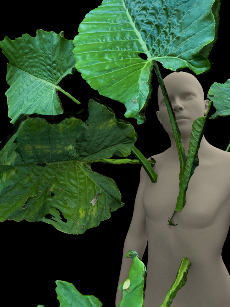 PRESS RELEASE: Renditions: Reconsidering tensions between artificiality and authenticity