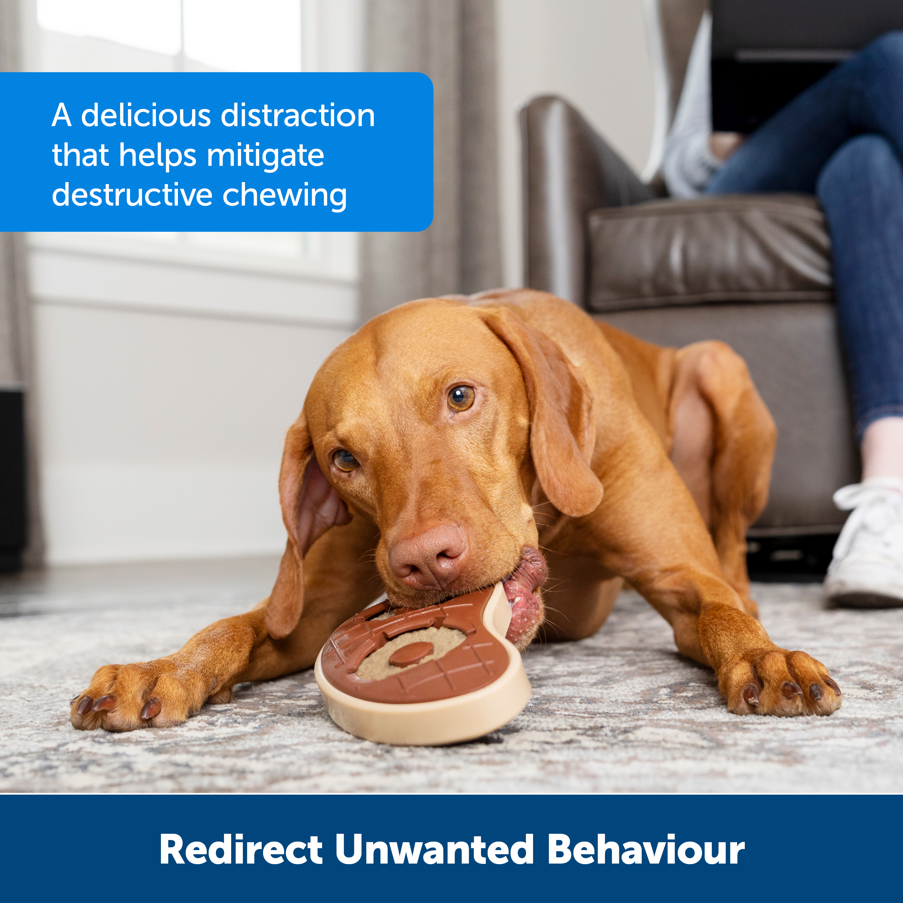 PRESS RELEASE: PETSAFE MAKING PLAYTIME AND DENTAL CARE A BREEZE!  Introducing PetSafe® Busy Buddy® Treat Ring Collection