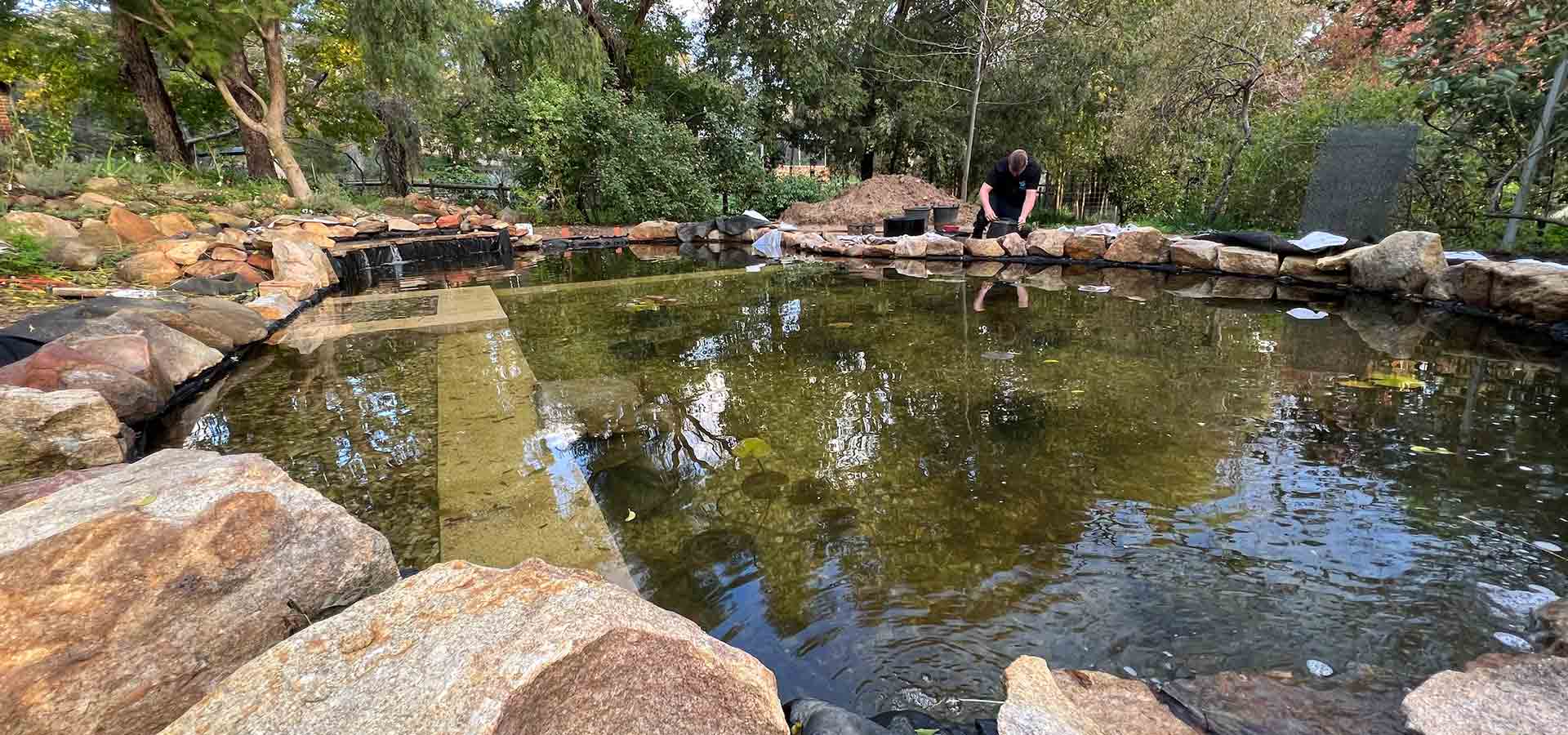 PRESS RELEASE: Aussies Opting for Natural Swimming Pools Over Traditional Pools
