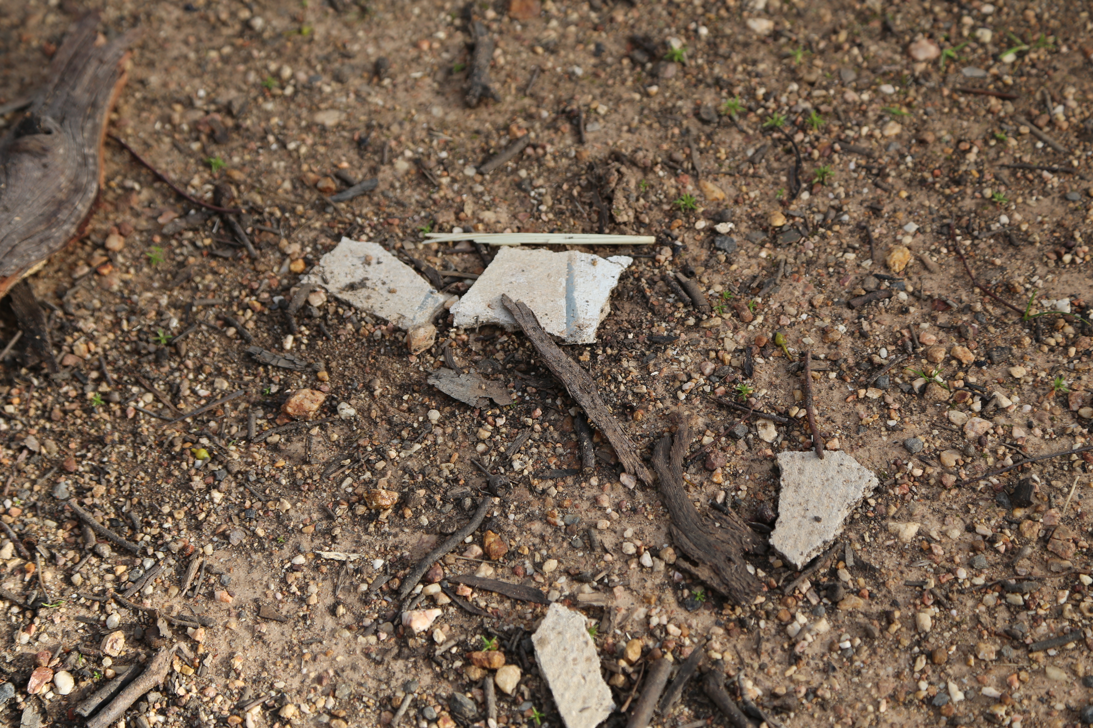 PRESS RELEASE: Asbestos debris could be closer to home than you think!