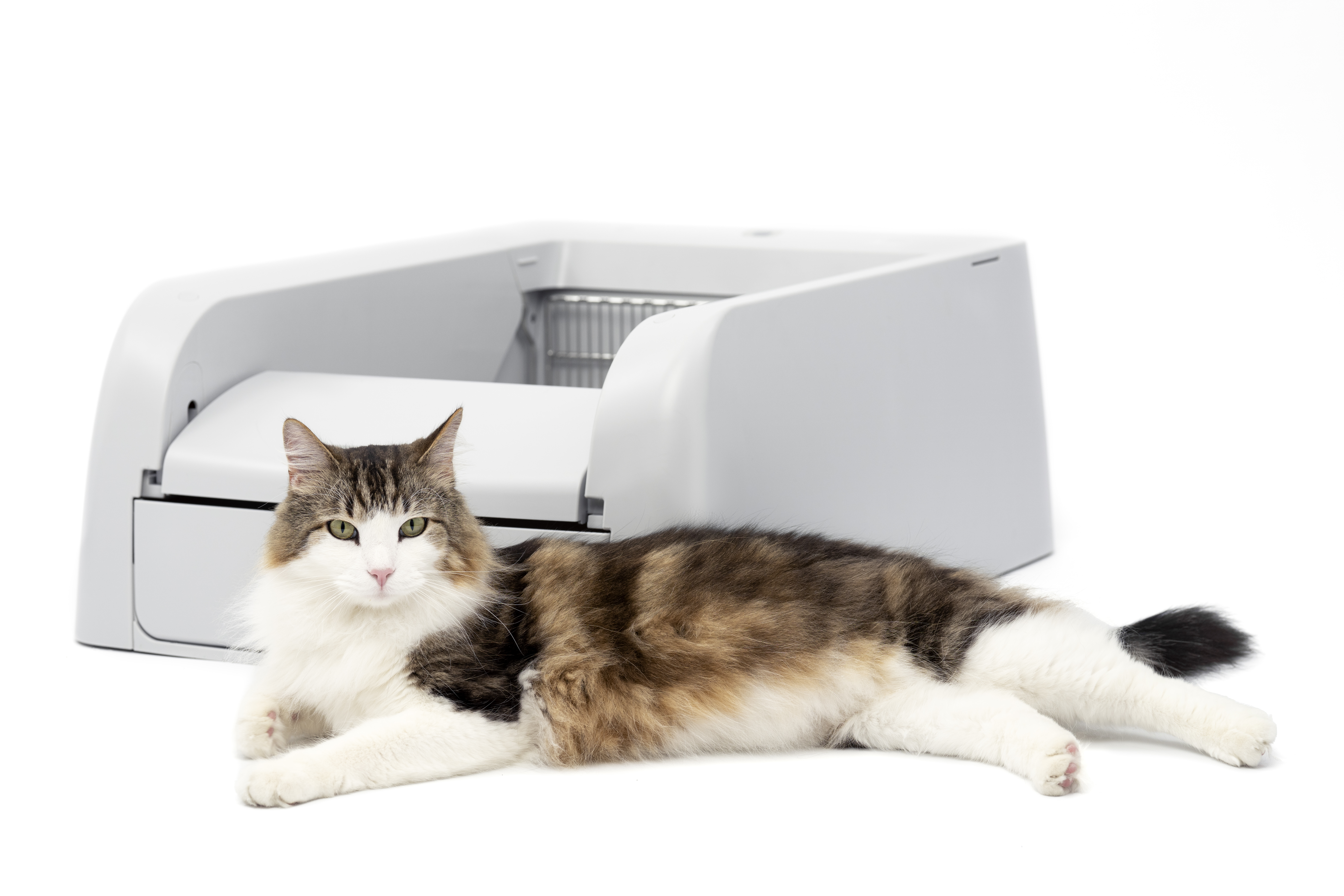 PRESS RELEASE: 5 Reasons to Upgrade: The Benefits of a Self-Cleaning Litter Box for You and Your Cat
